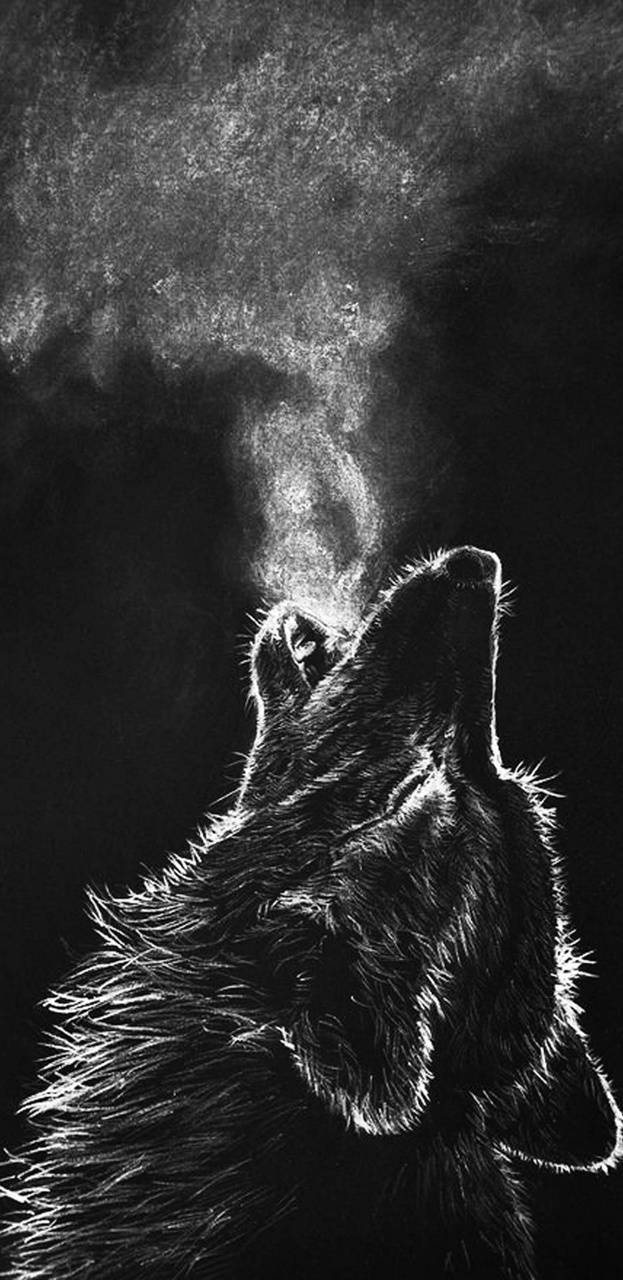 623x1280 Black Wolf wallpaper