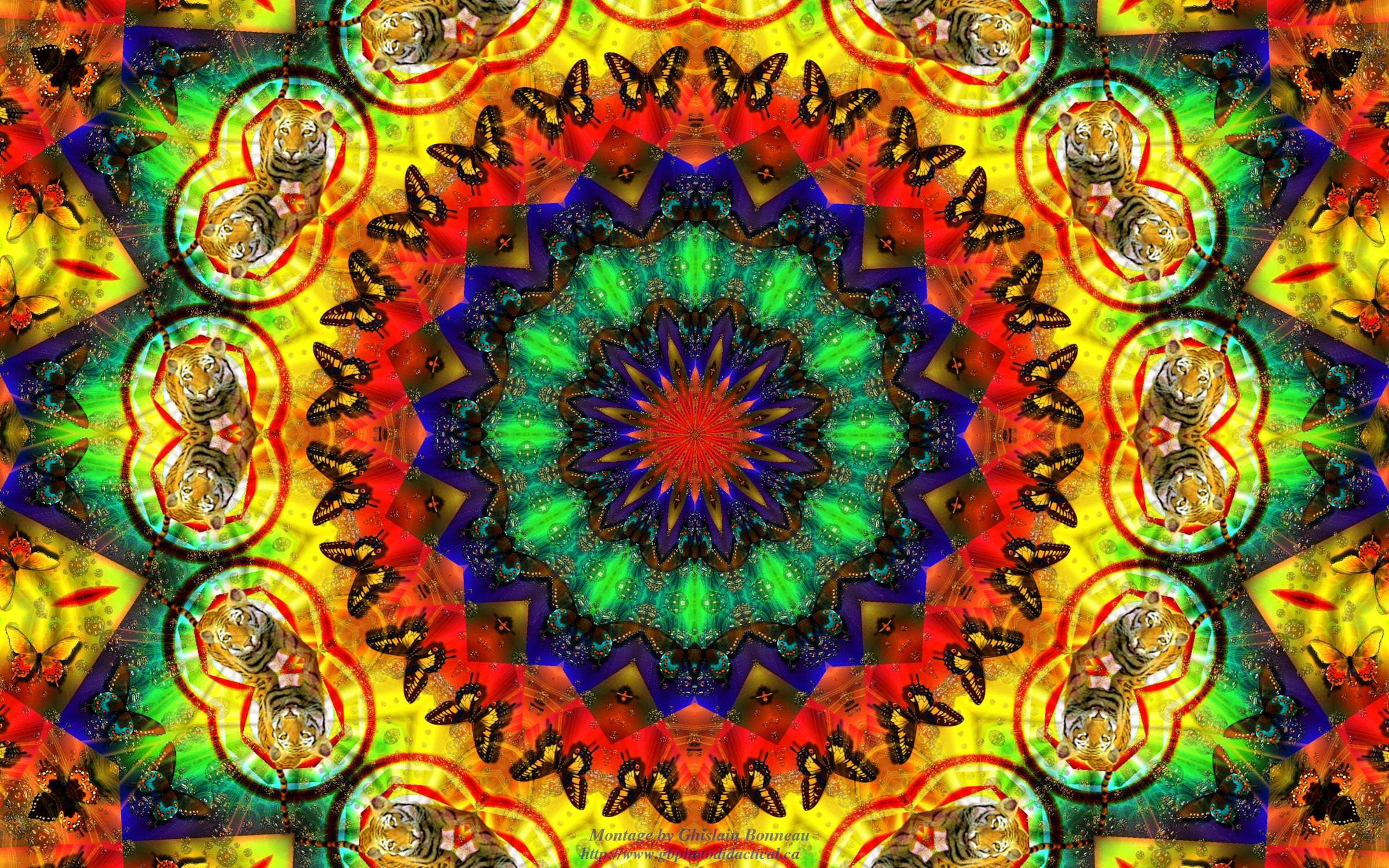 2400x1500 Hippie iPhone Background. iPhone Wallpaper, Beautiful iPhone Wallpaper and Awesome iPhone Wallpaper