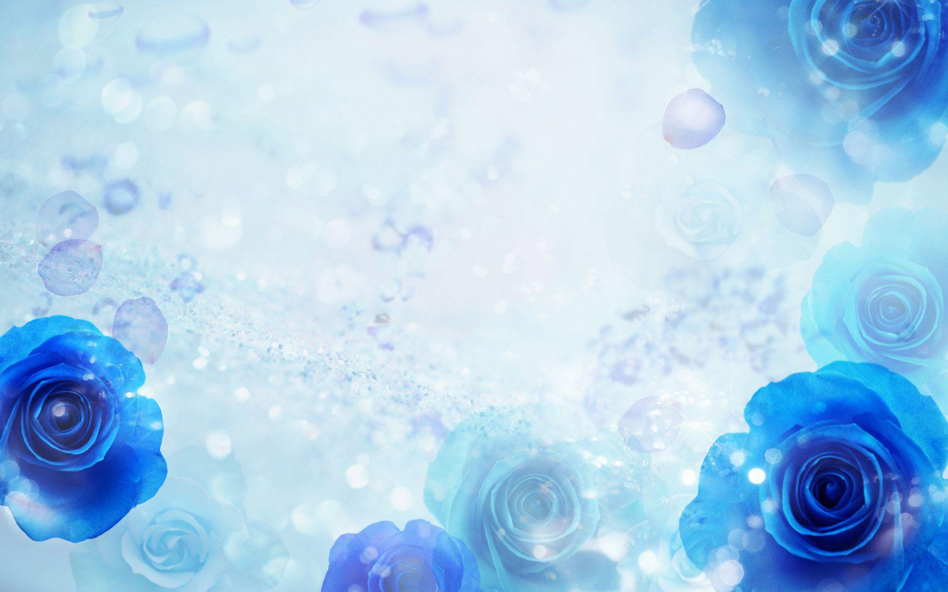 1920x1200 Blue Roses Windows 7 themes Wallpaper Wallpaper 77338. Flower background wallpaper, Flowery wallpaper, Blue background wallpaper