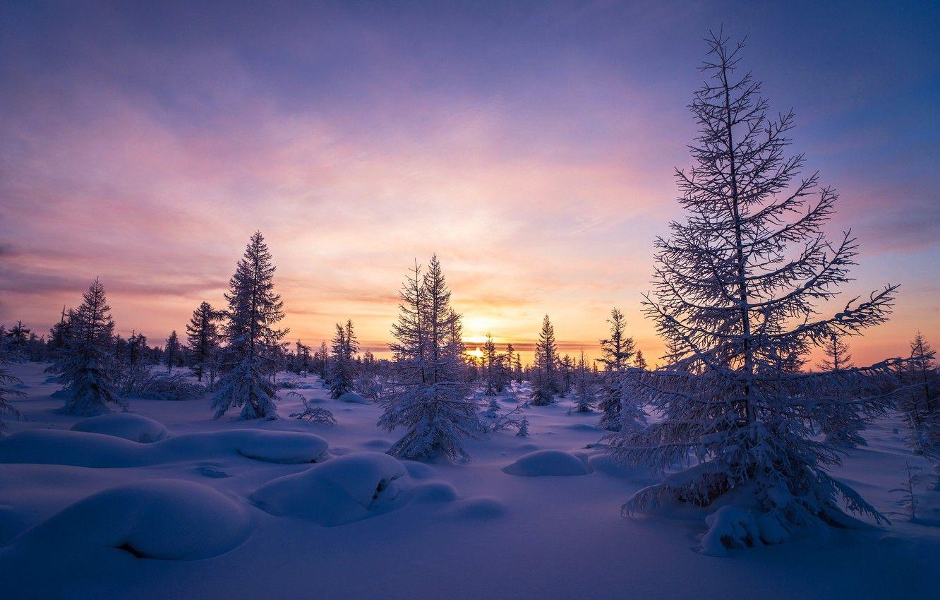 1332x850 Wallpaper winter, frost, the sky, snow, dawn, tree, frost, forest, winter, sunrise, frost image for desktop, section природа