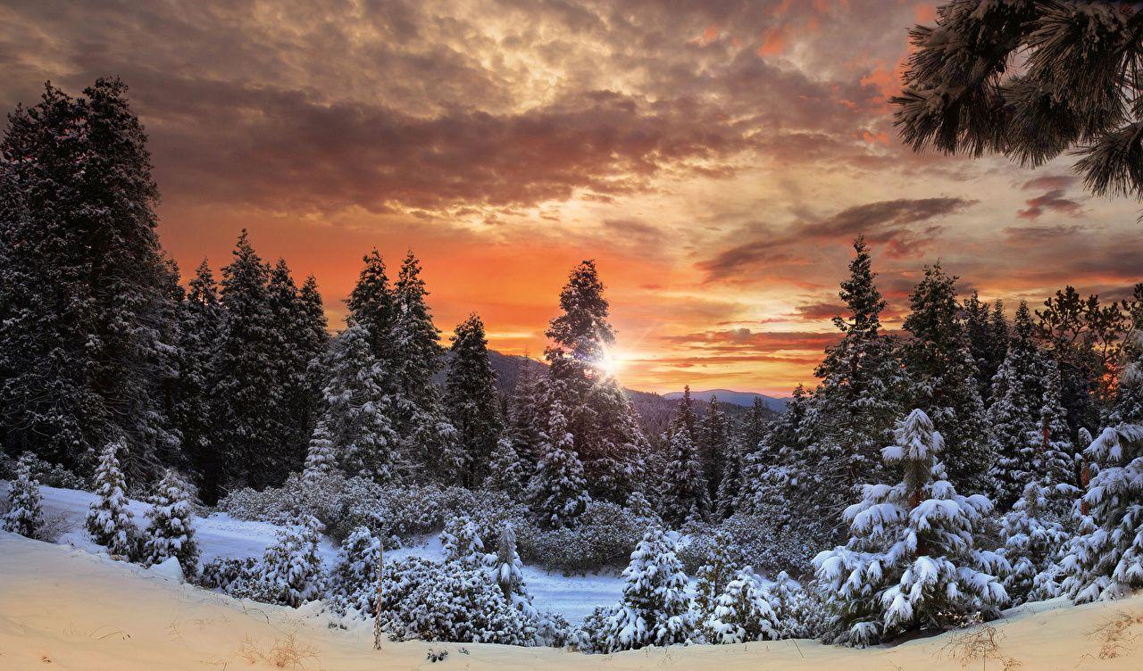 Snow Forest Sunrise Wallpapers Top Free Snow Forest Sunrise