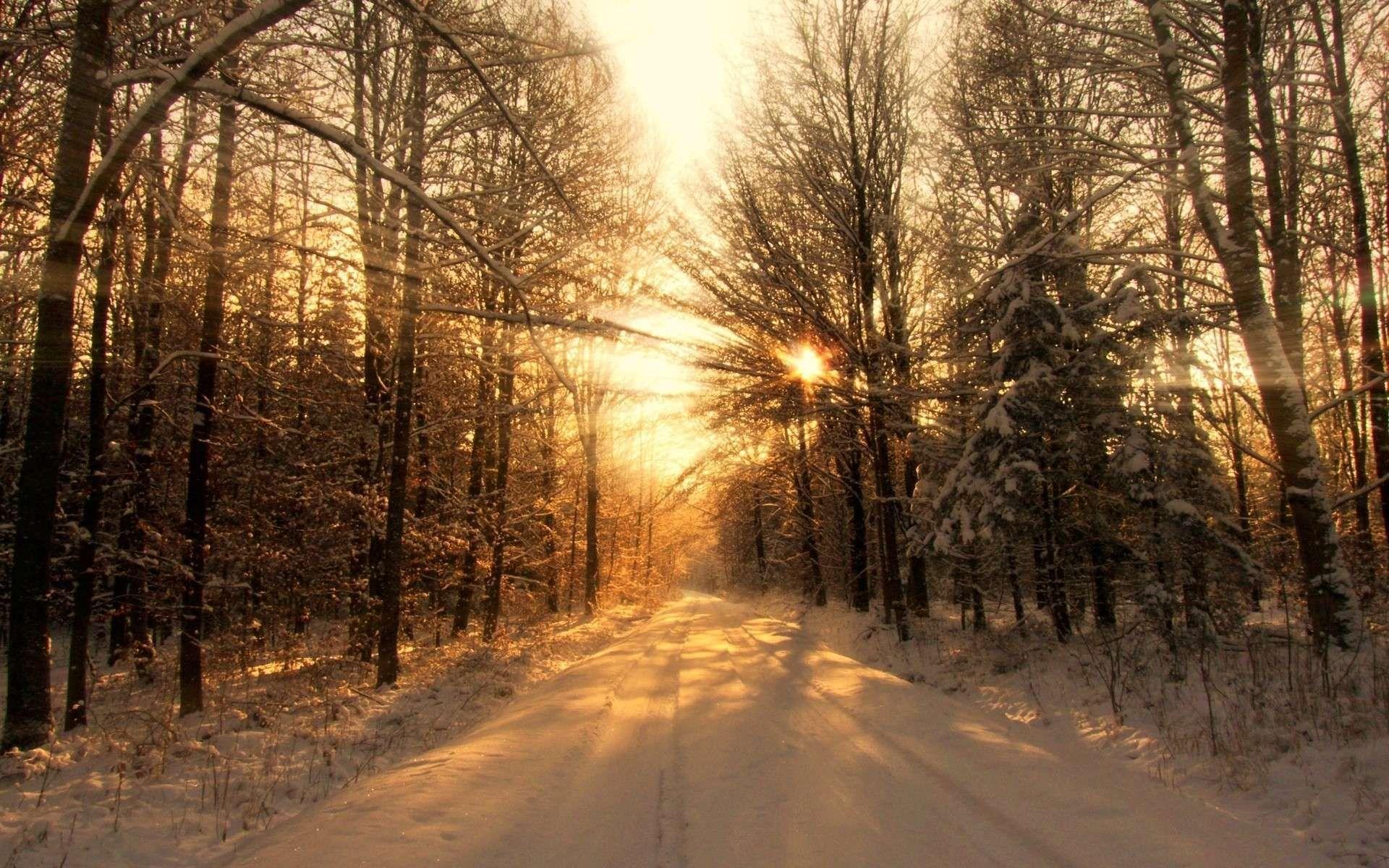 Snow Forest Sunrise Wallpapers - Top Free Snow Forest Sunrise ...