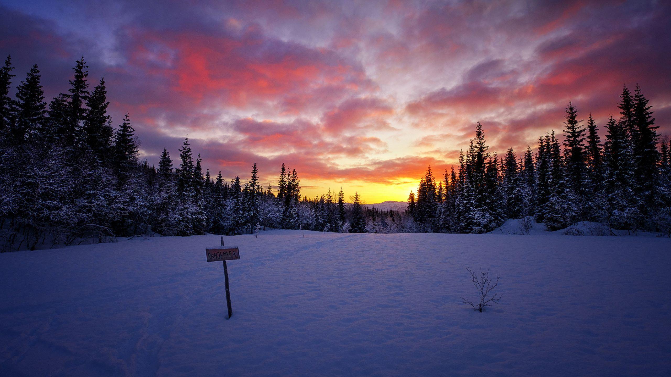 Snow Forest Sunrise Wallpapers - Top Free Snow Forest Sunrise ...