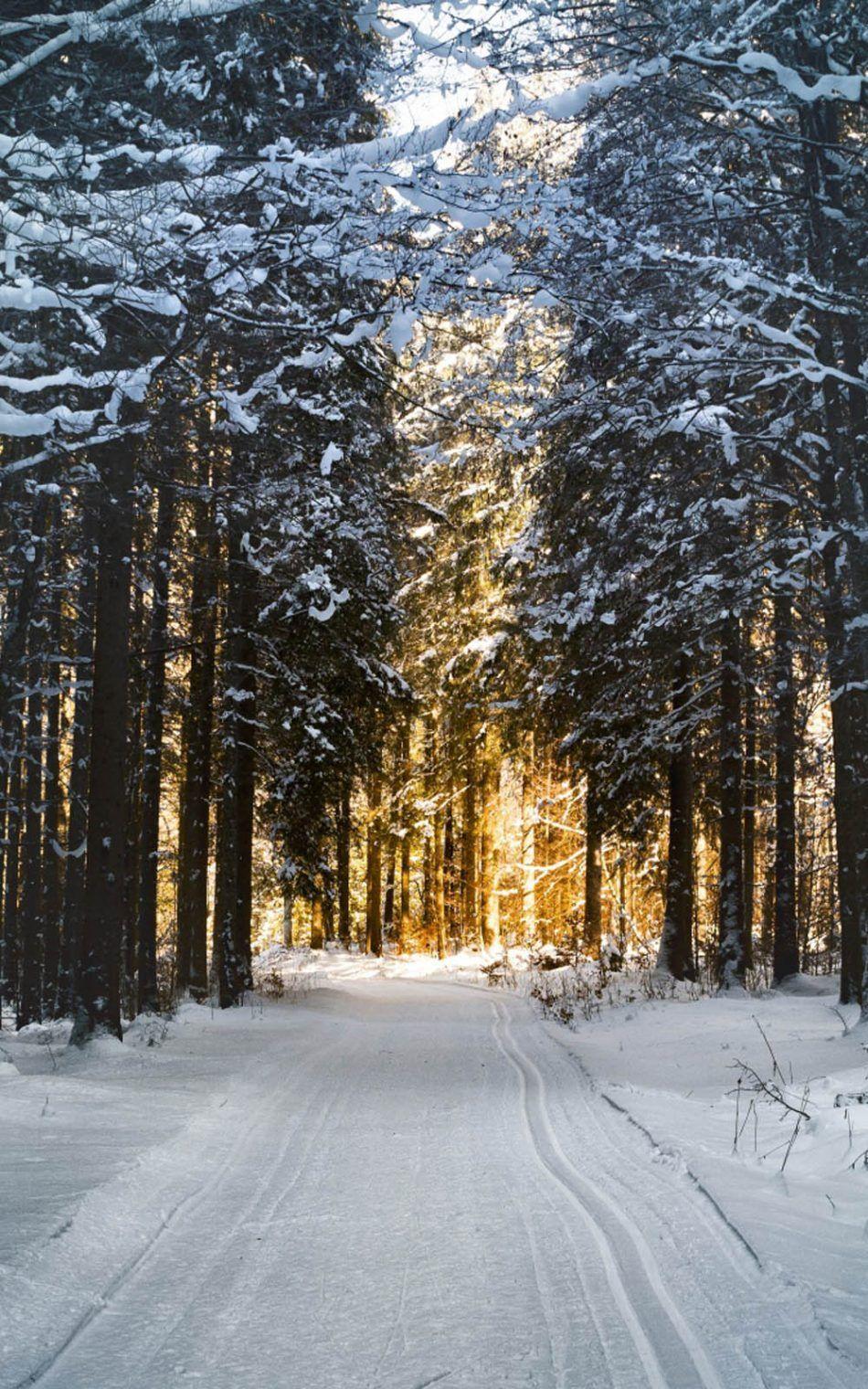 950x1520 Snow Road Wallpaper