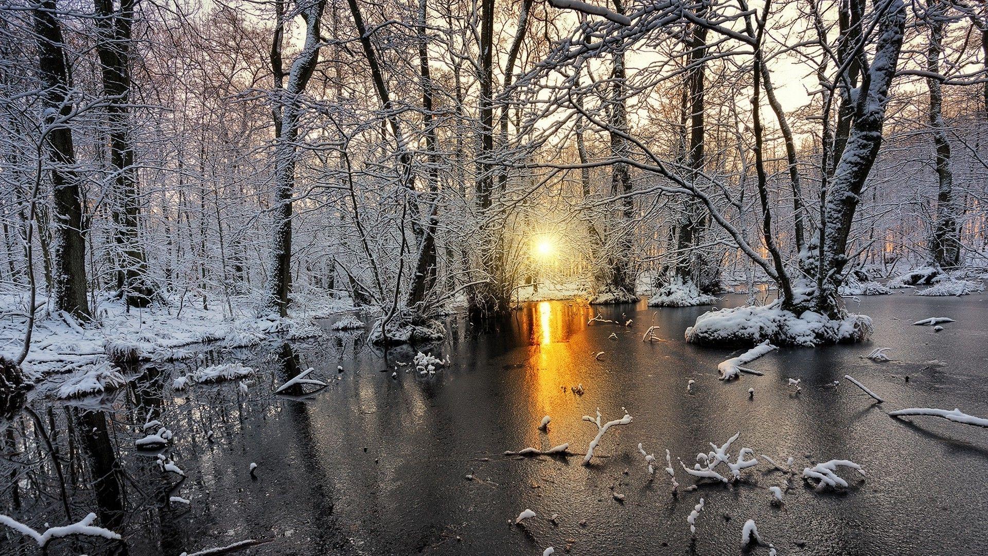 1920x1080 nature, Landscape, Cold, Winter, Sunrise, Snow, Forest, Frost, Sunlight, White, Yellow, Trees, Sweden Wallpaper HD / Desktop and Mobile Background