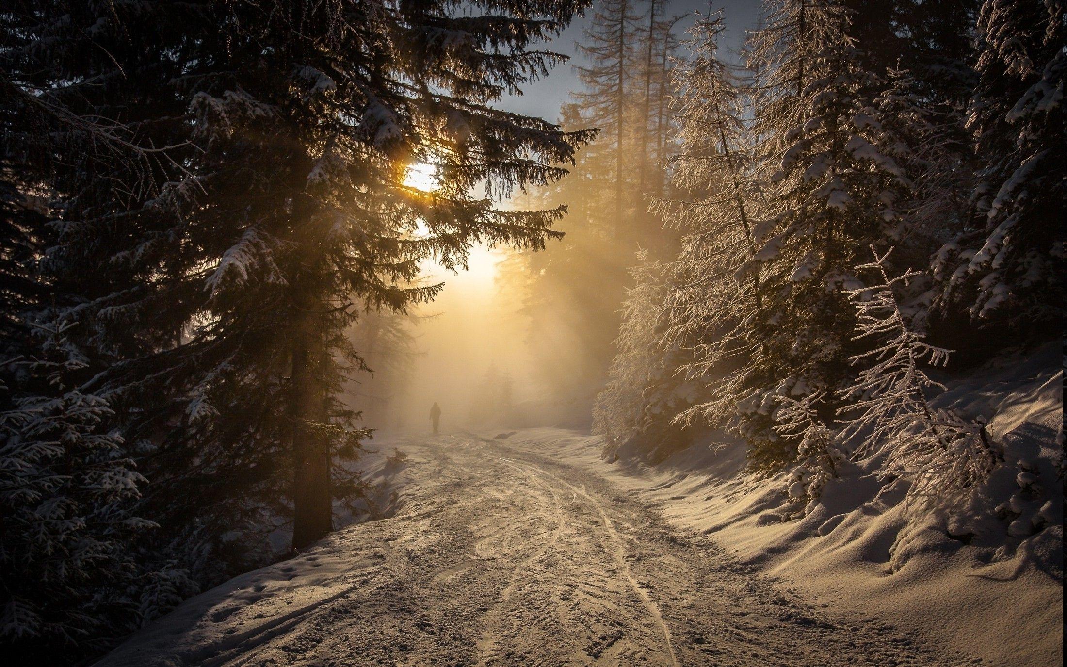 2200x1375 forest winter snow sunrise walking mist nature landscape austria trees sunlight cold path wallpaper. Nature. Tokkoro.com Amazing HD Wallpaper
