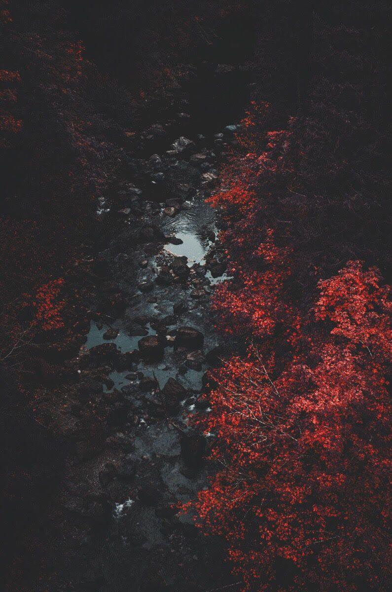 795x1200 Awesome Fond Decran Hype Iphone Wallpaper Hd 213