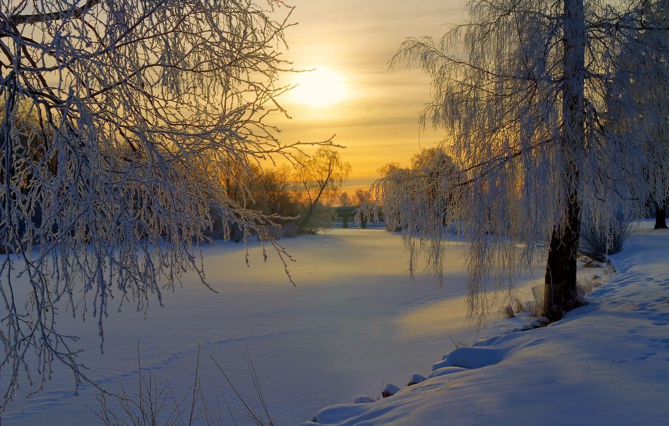 1332x850 Wallpaper winter, frost, forest, the sun, snow, trees, sunrise, glade, morning, Sweden image for desktop, section природа