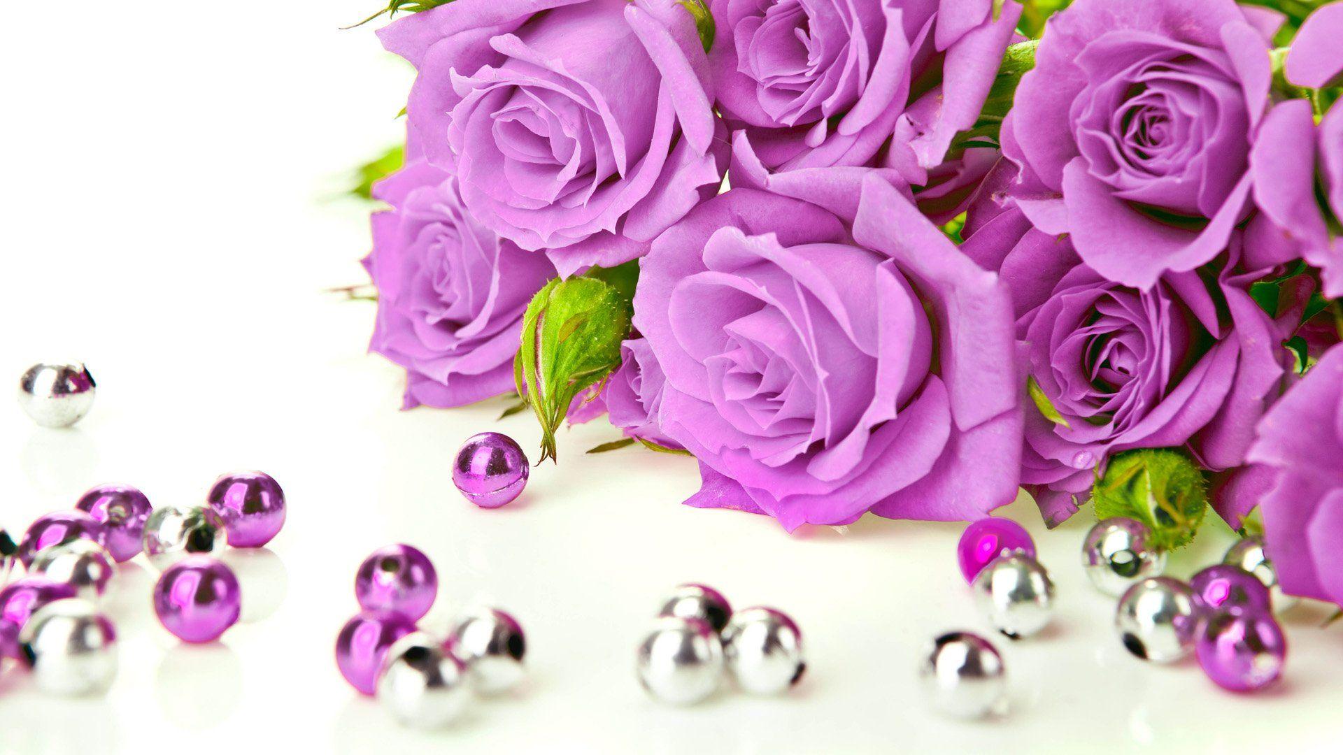 1920x1080 Free download Beautiful Purple Rose pearl wallpaper Rose Flower image Rose [1920x1080] for your Desktop, Mobile & Tablet. Explore Beautiful Purple Roses Wallpaper. Purple Orchid Wallpaper, Free Wallpaper of