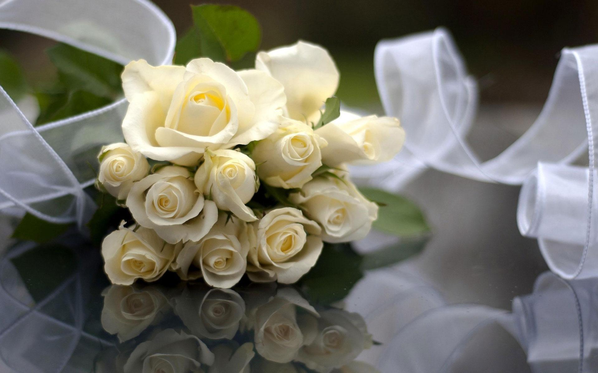 Purple and White Rose Wallpapers Top Free Purple and White Rose