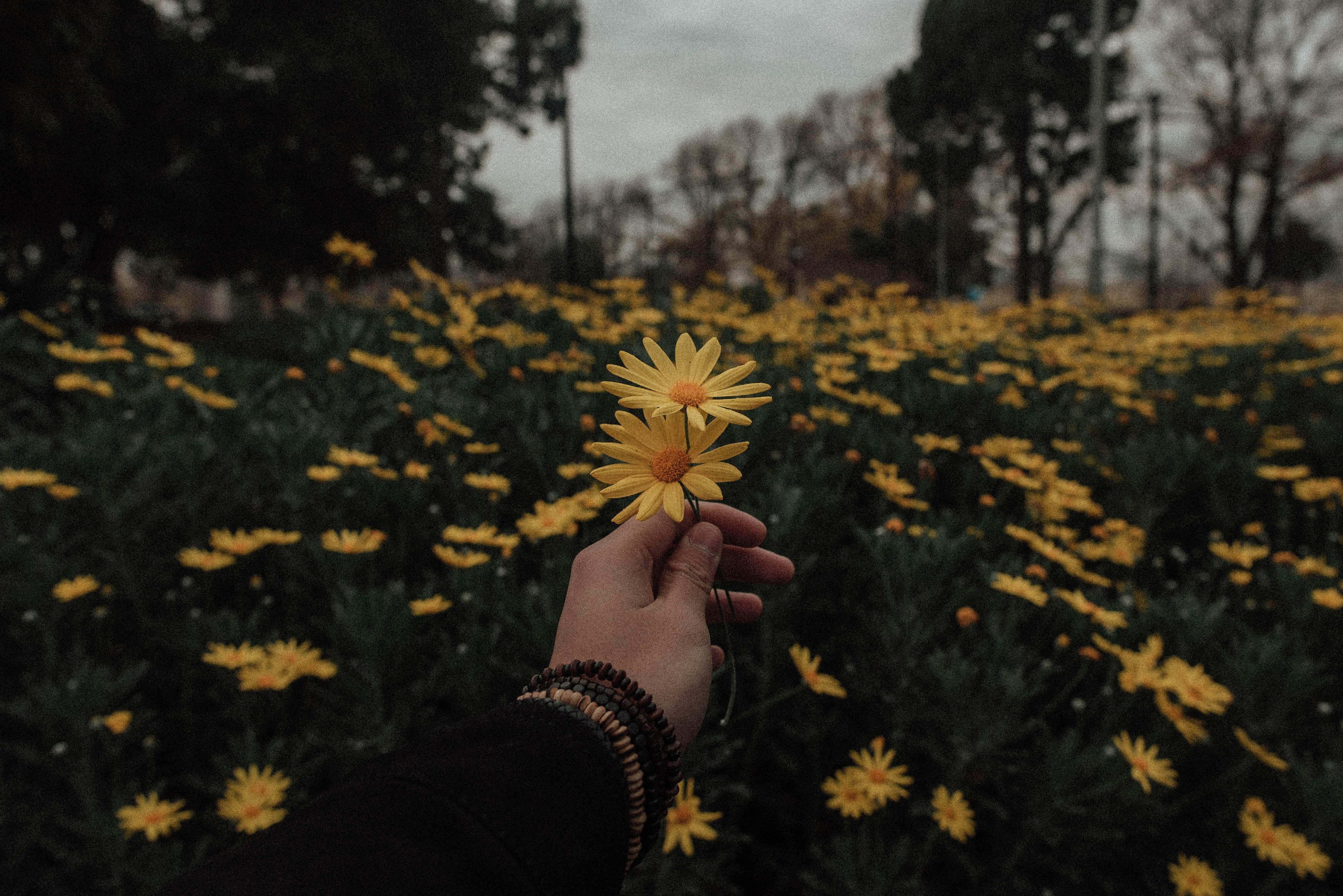 5603x3740 Vintage Aesthetic Horizontal Wallpaper