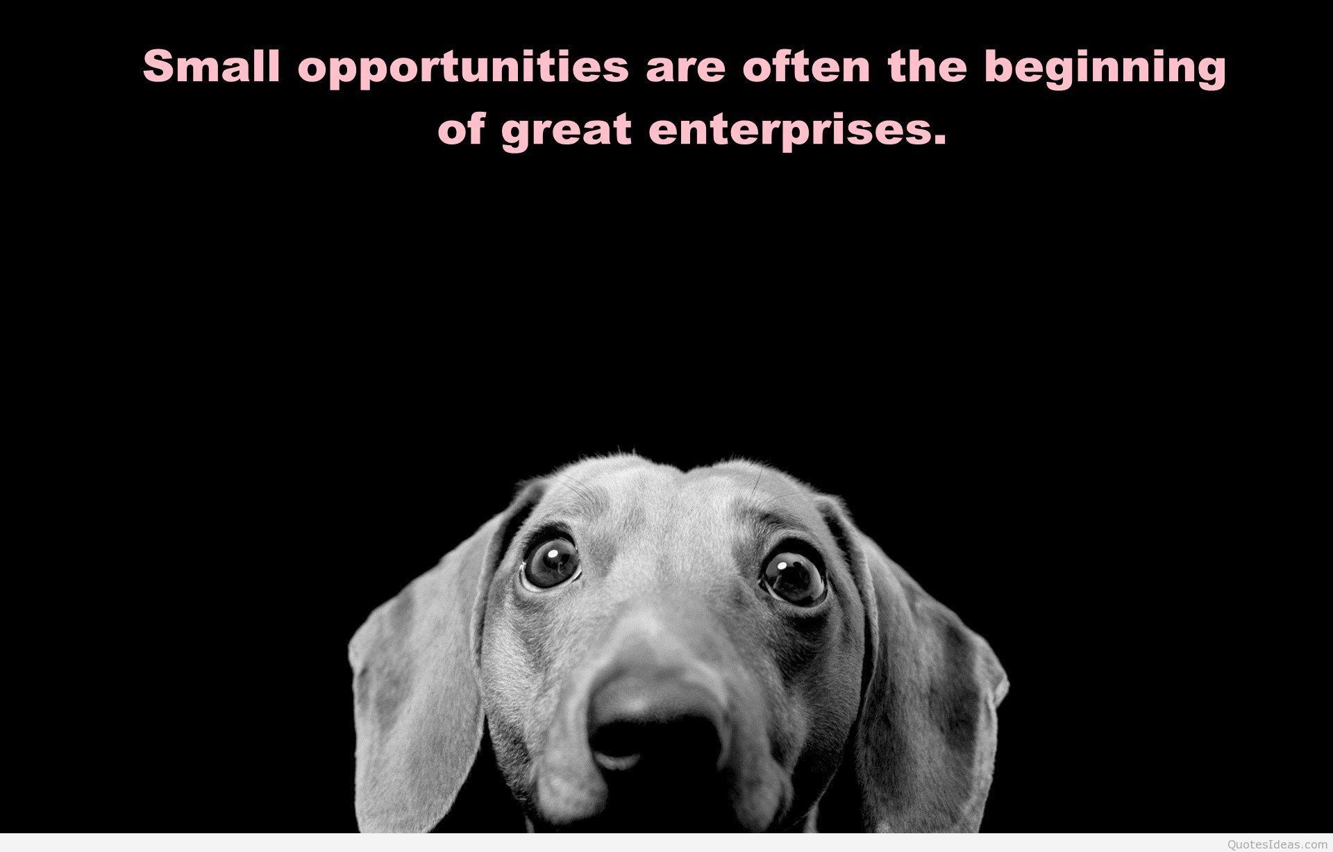 1920x1227 Great Quotes with photo