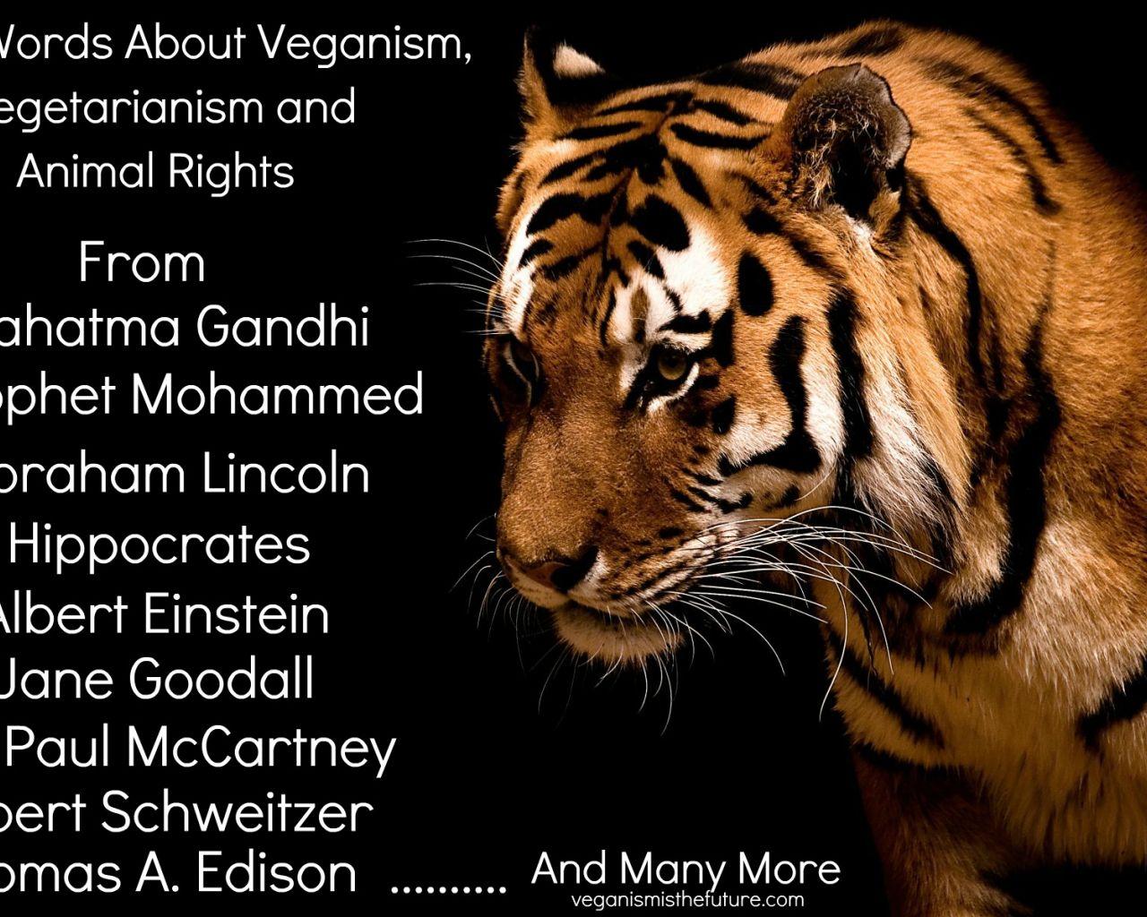 1280x1024 Free download Famous quotes about Animal Sualci Quotes [1920x1200] for your Desktop, Mobile & Tablet. Explore Animal Quotes Wallpaper. Animal Quotes Wallpaper, Animal Background, Animal Wallpaper