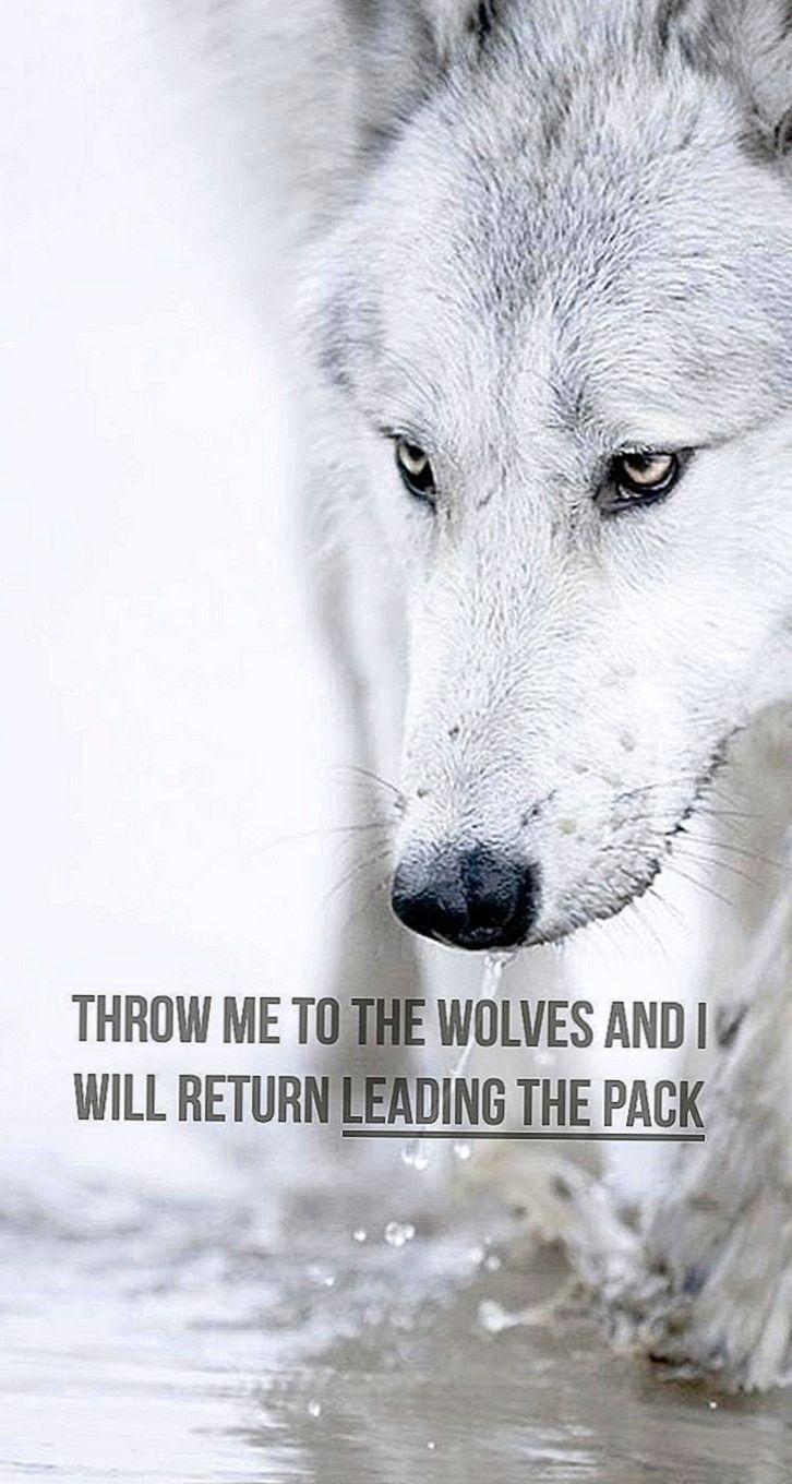 726x1360 Spirit Animal Wolf Quotes Wallpaper