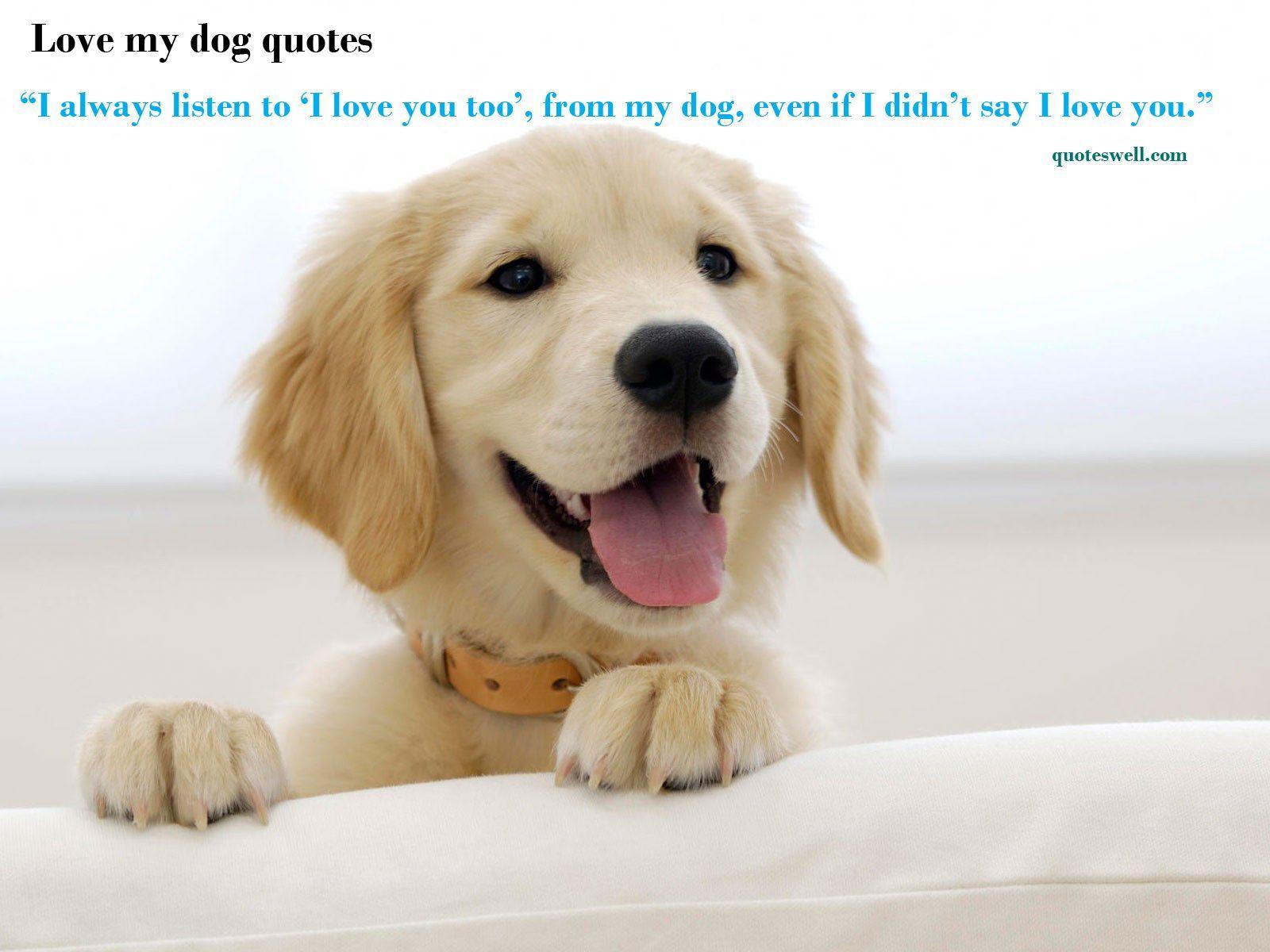 1600x1200 Free download Sat 14 Mar 2015 1600x1200 Dog Quotes Desktop Wallpaper [1600x1200] for your Desktop, Mobile & Tablet. Explore Animal Quotes Wallpaper. Animal Quotes Wallpaper, Animal Background, Animal Wallpaper