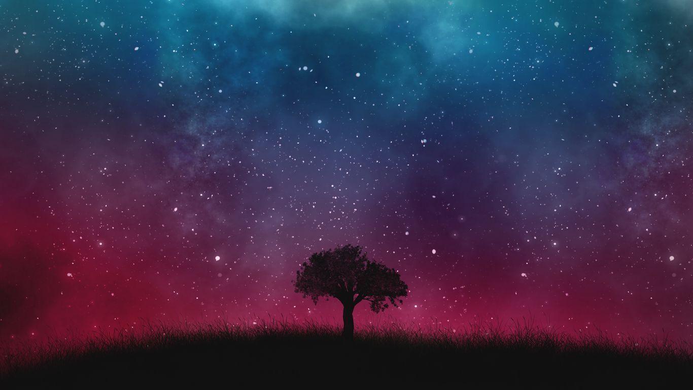 1366x768 Download wallpaper 1366x768 starry sky, night, tree tablet, laptop HD background