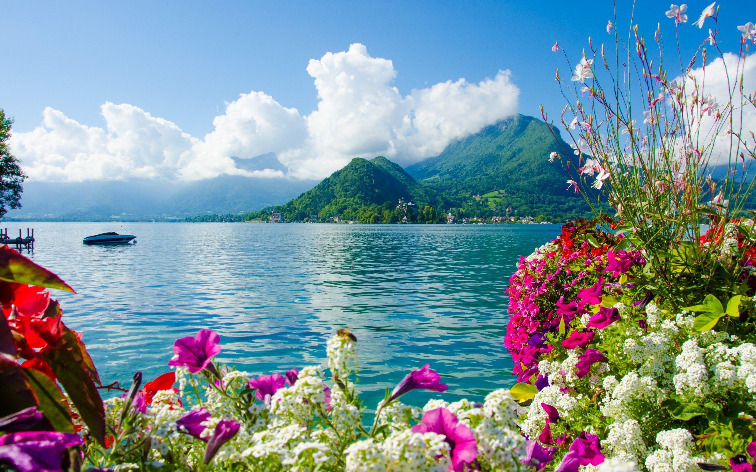 2560x1600 Download Cool Wallpaper For iPhone High Definition Nature Image Free Photo Amazing Places Picture Nature Photography 2560x1600