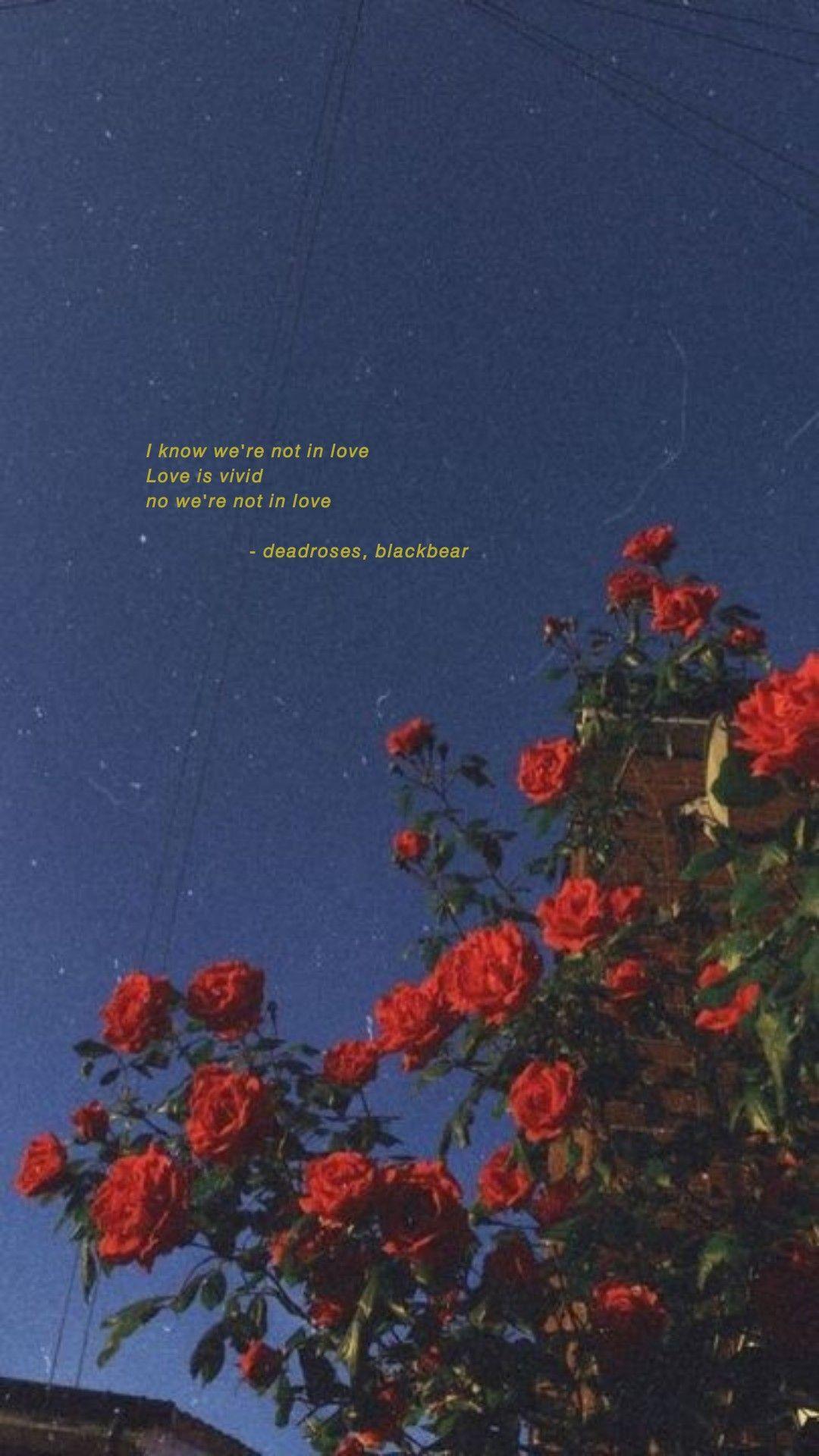 1080x1920 Song lyric wallpaper aesthetic blackbear. Song lyrics wallpaper, Love quotes, Quote aesthetic