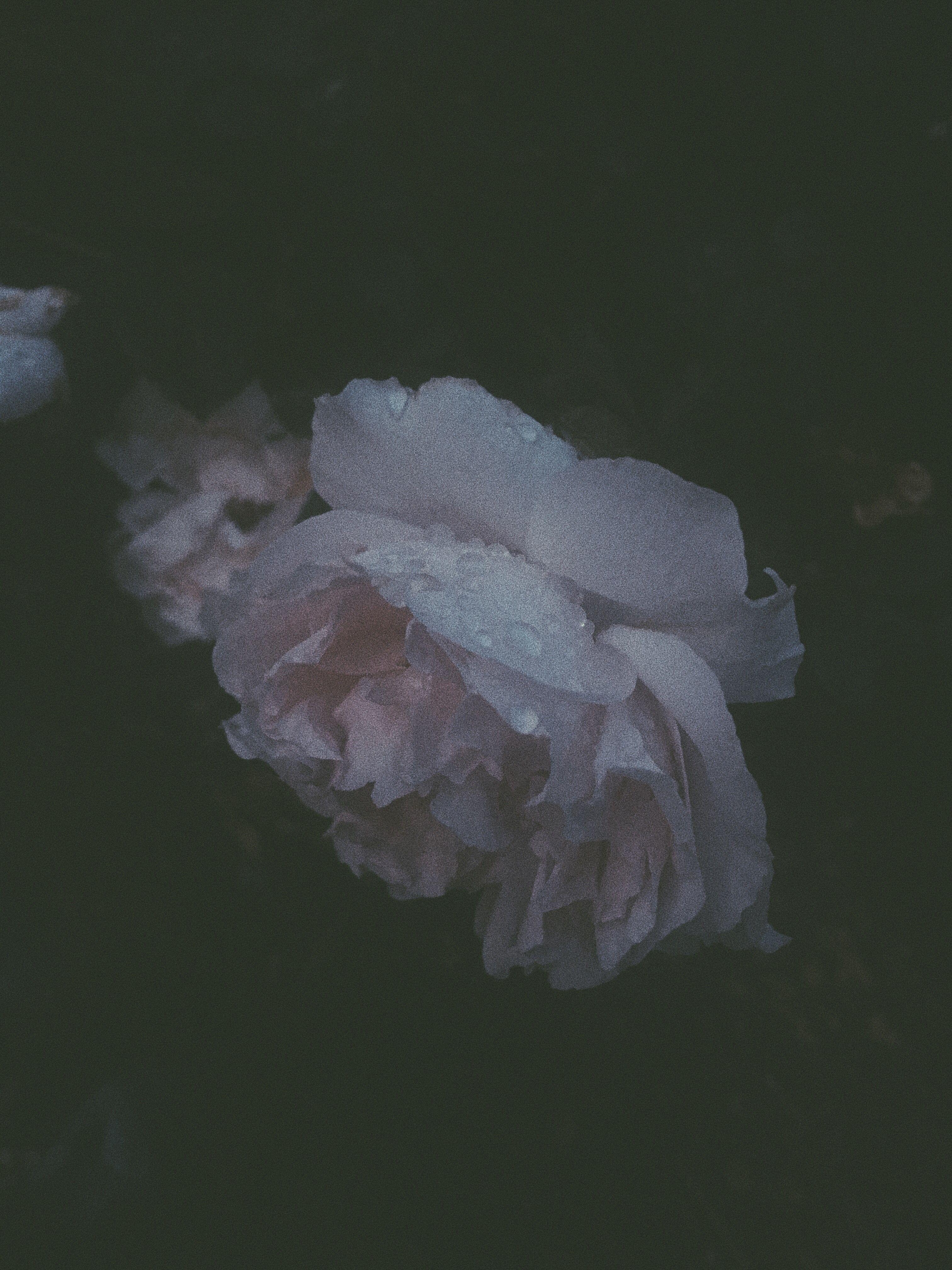 3024x4032 Soft Grunge Aesthetic