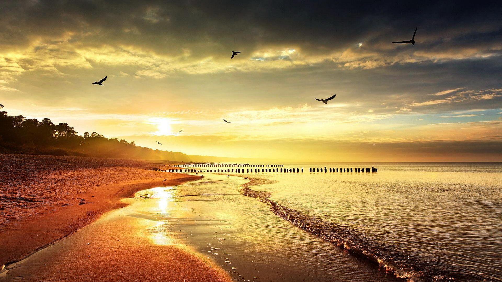 1920x1080 Fantastic Wallpaper