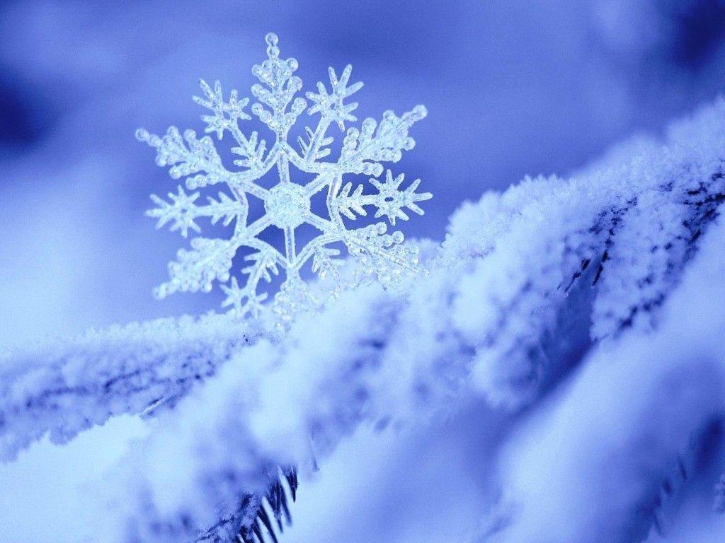 1024x768 Download Snowflake Nature Winter HD HD Wallpaper. Winter background, Snowflakes, Winter wallpaper