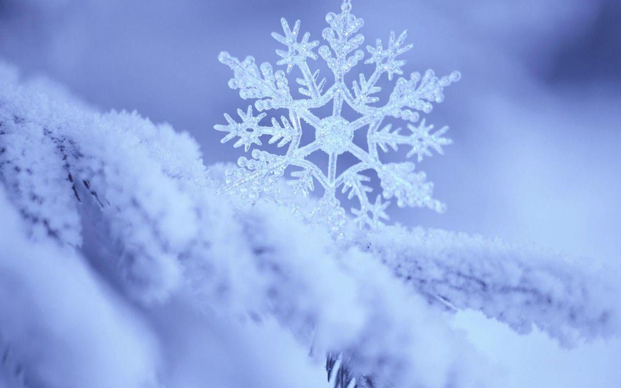 1280x800 Snowflake Wallpaper Image
