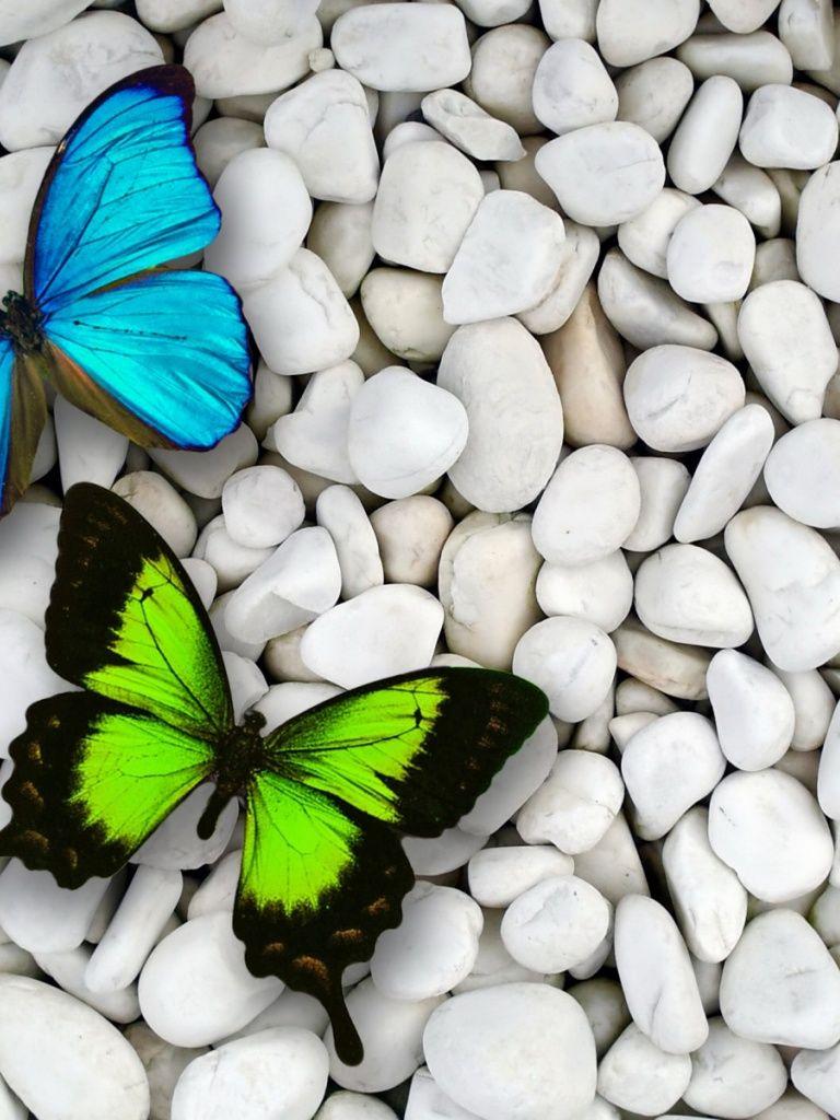 Butterfly iPad Wallpapers - Top Free Butterfly iPad Backgrounds ...