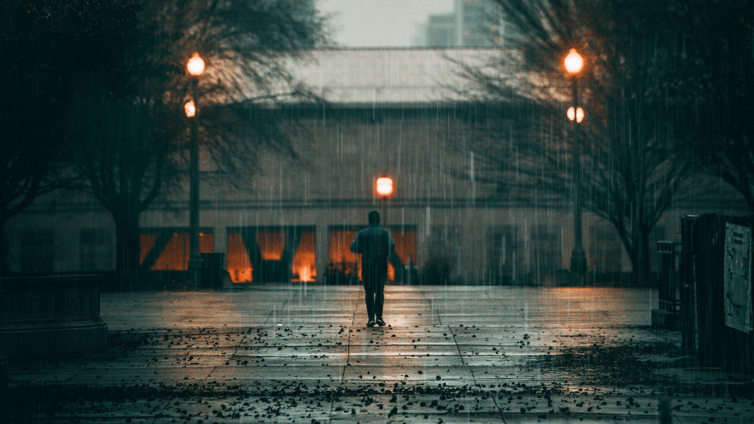 2560x1440 Wallpaper Man, Rain, Loneliness, Sad, Walk, Street, HD Wallpaper