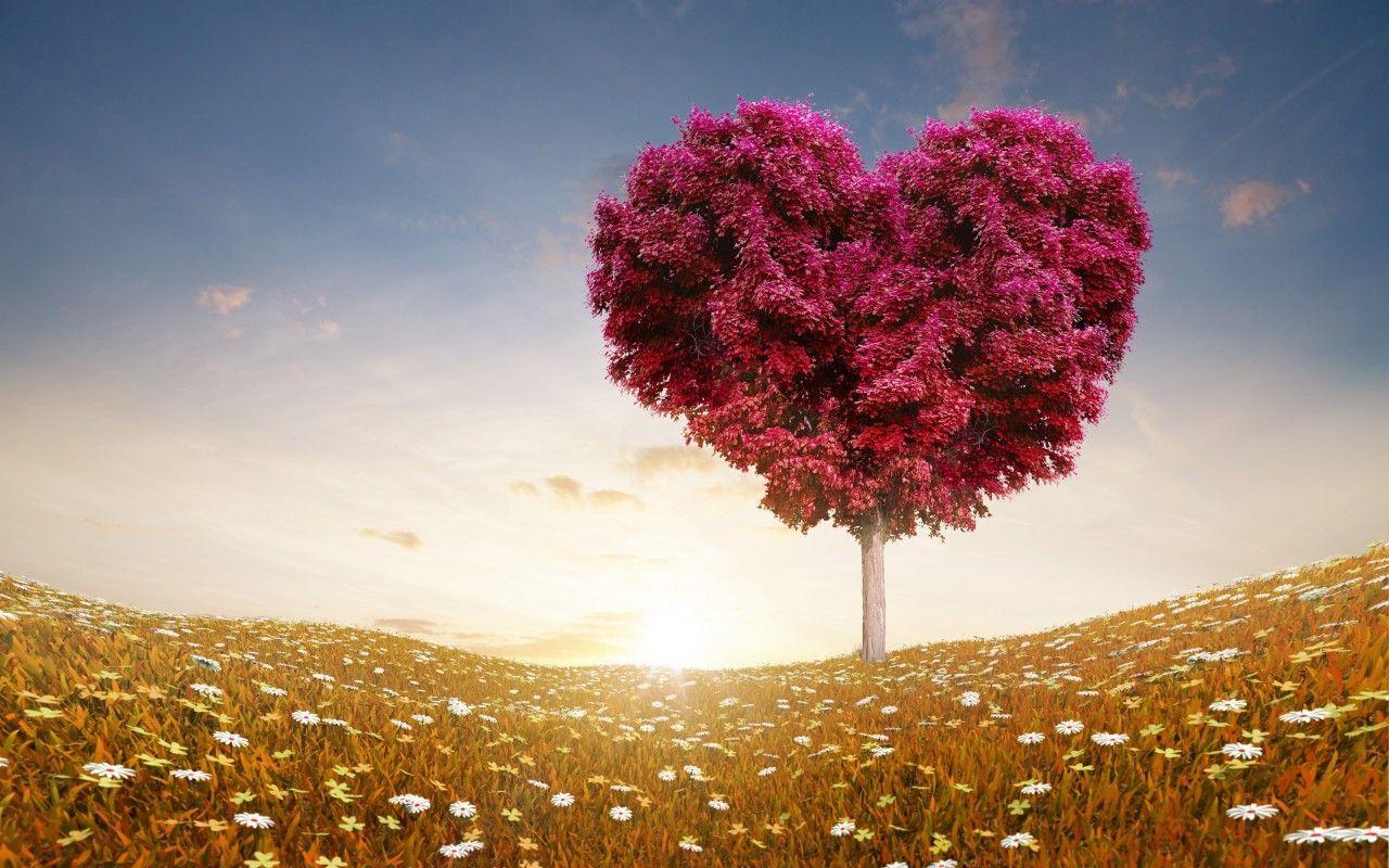 1280x800 Tree Of Love Free Hd Wallpaper For Desktop. Love Wallpaper, Love Image, Heart Tree