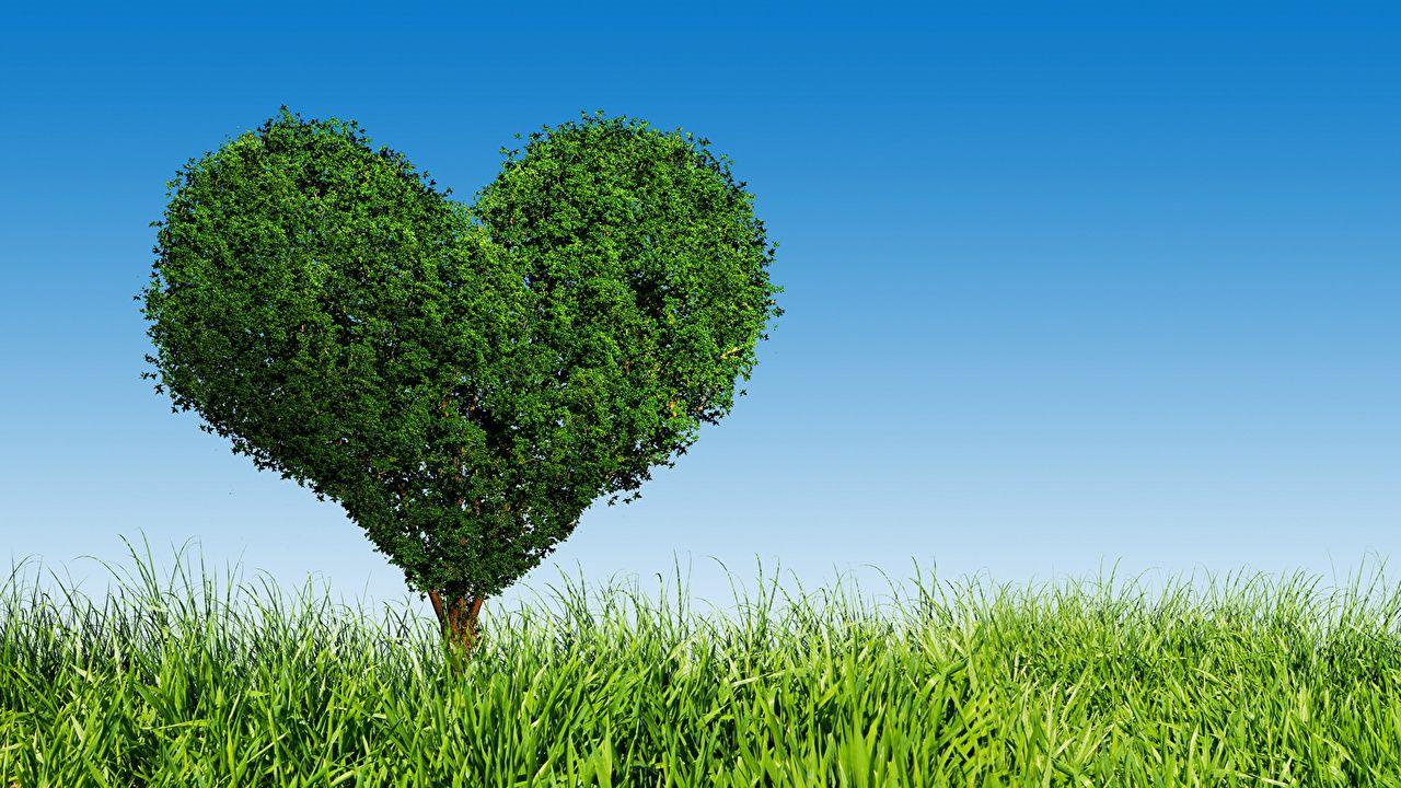 1280x720 Desktop Wallpaper Heart Nature Grass Trees