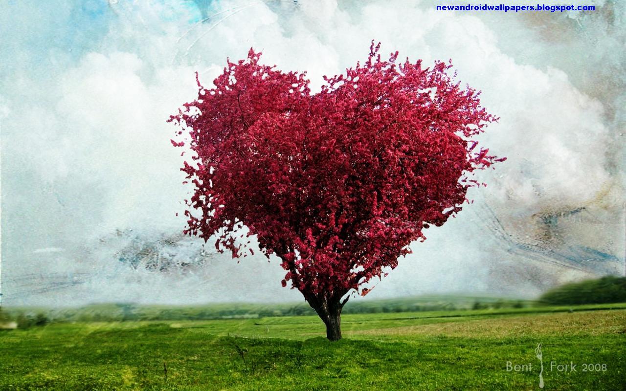 1280x800 Beautiful HD Wallpaper For Android: Nice And Amazing Love Heart Wallpaper 2013 For Android And Desktop PC