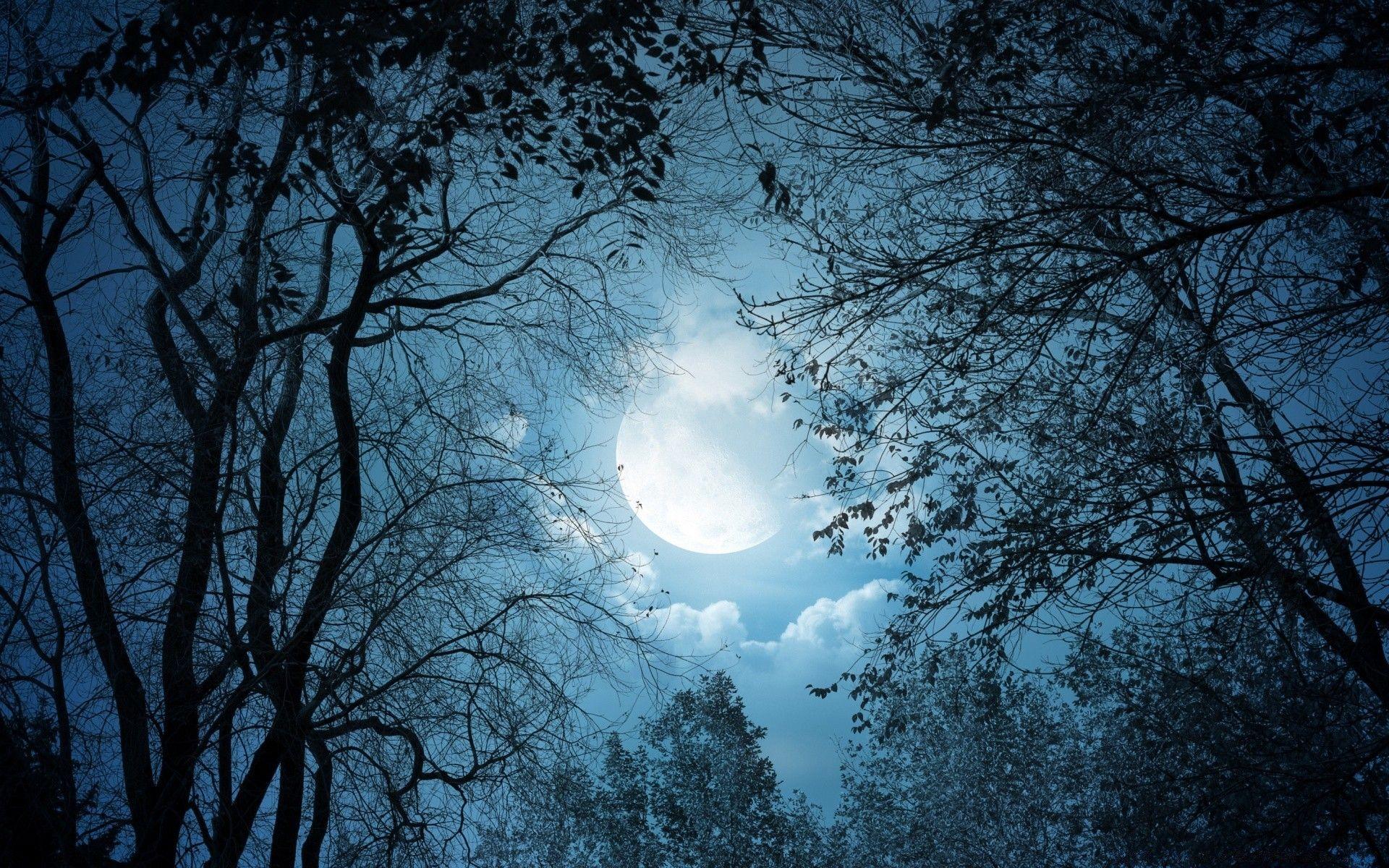 1920x1200 Full Moon Night