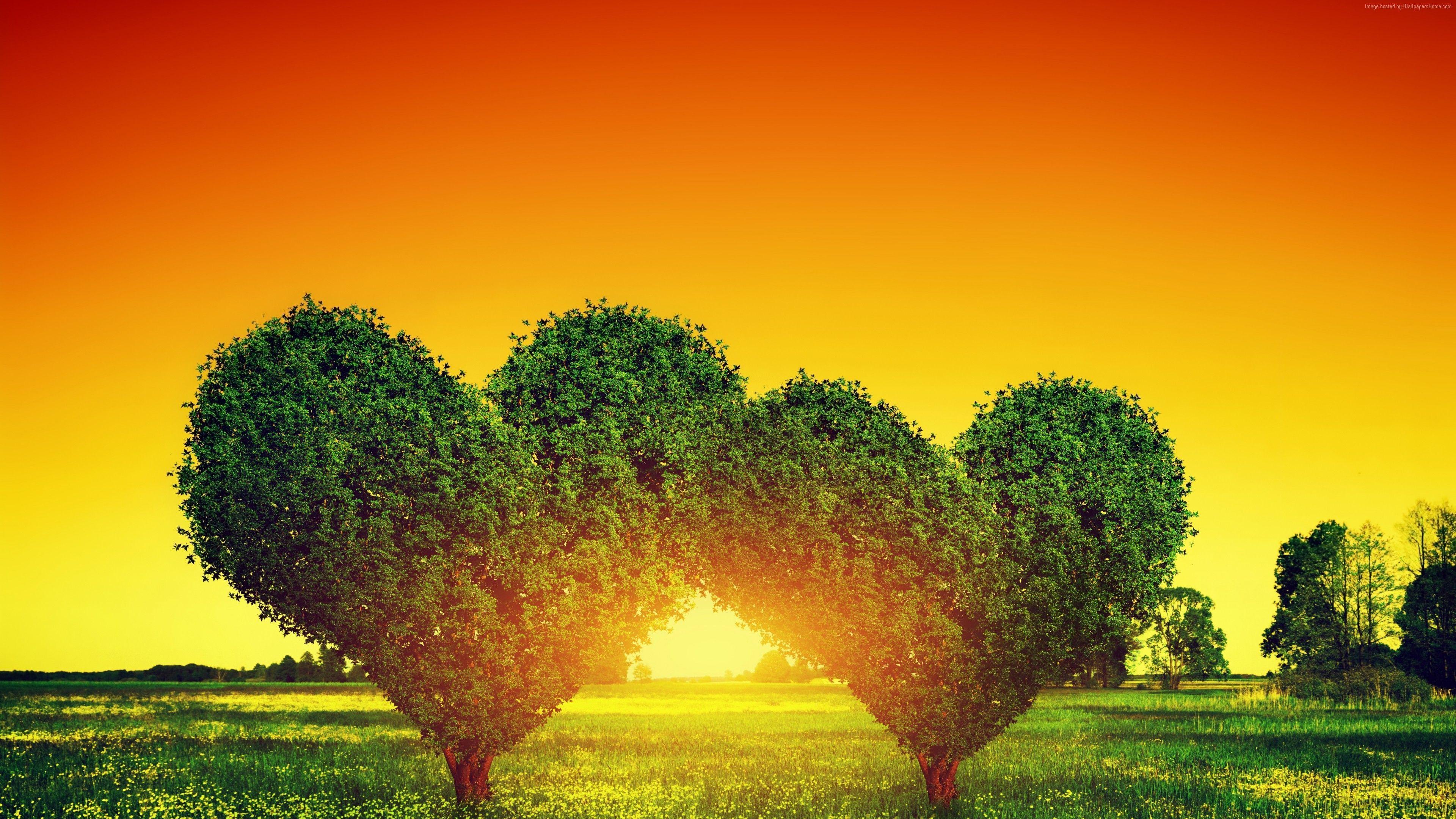 3840x2160 HD Wallpaper panosundaki Pin