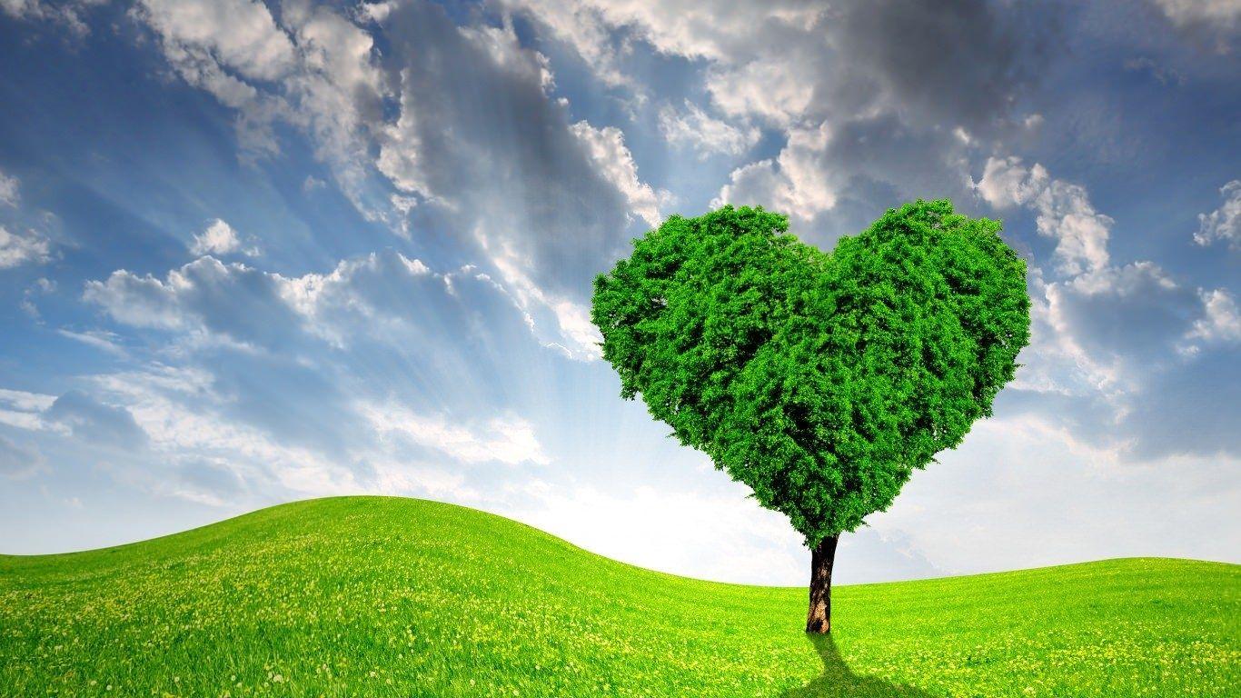 Heart Tree Desktop Wallpapers - Top Free Heart Tree Desktop Backgrounds ...