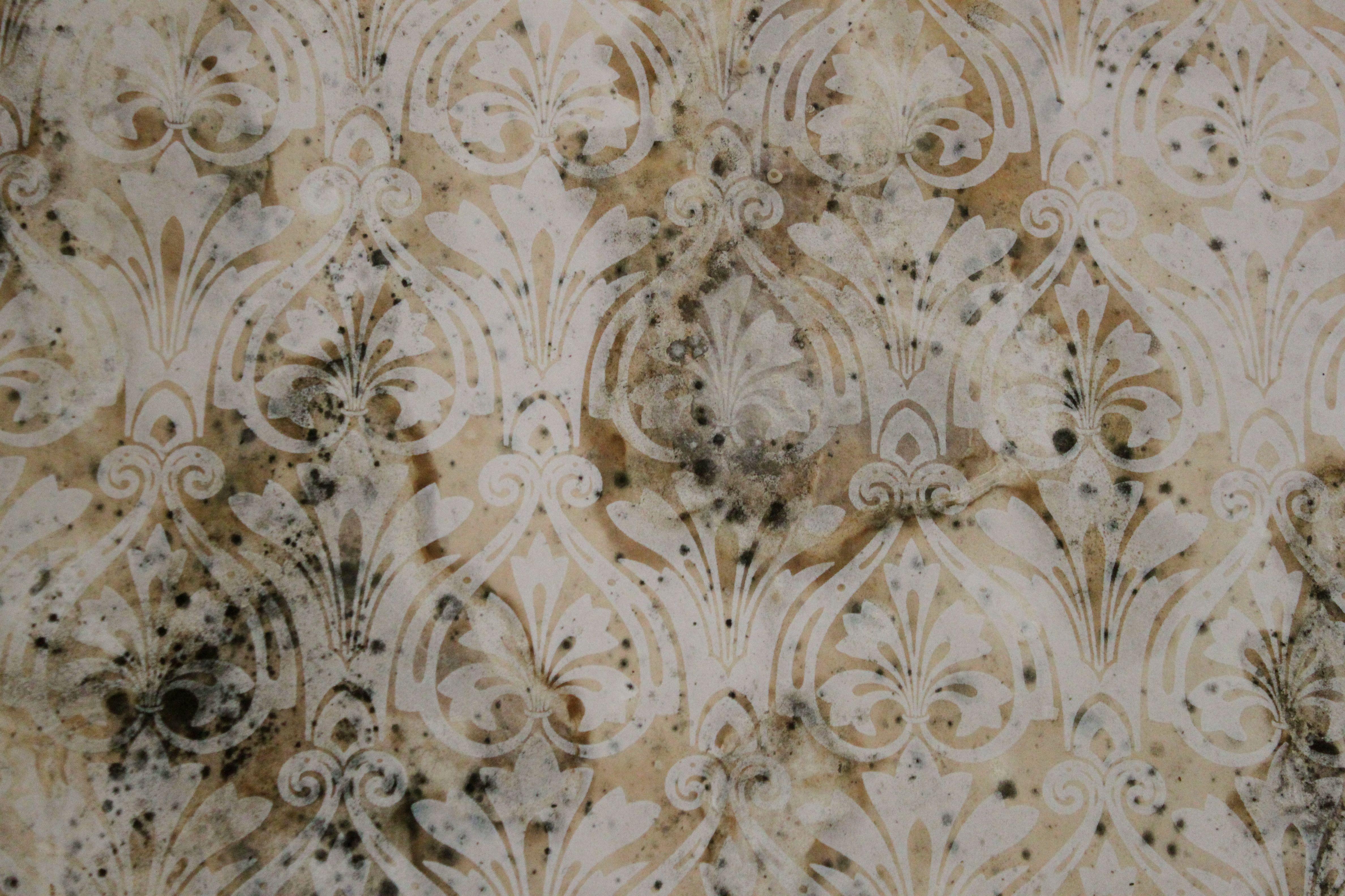 Vintage Victorian Wallpapers Top Free Vintage Victorian Backgrounds