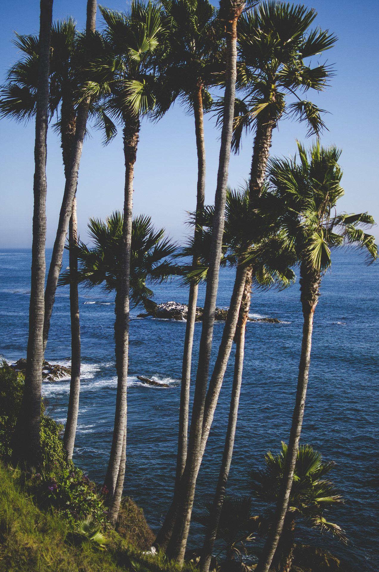 1272x1920 Beach California Wallpaper iPhone