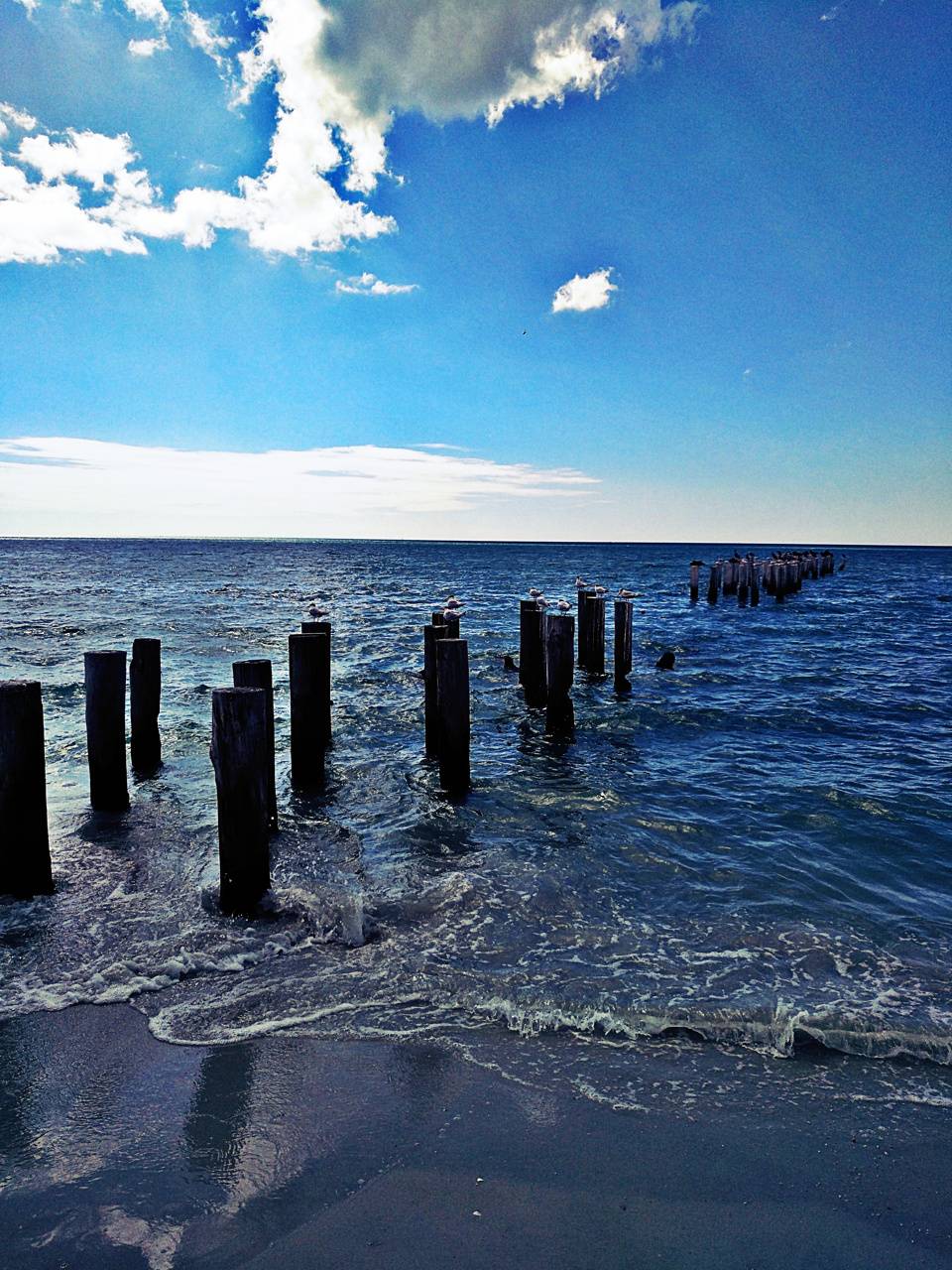 960x1280 Florida beach wallpaper