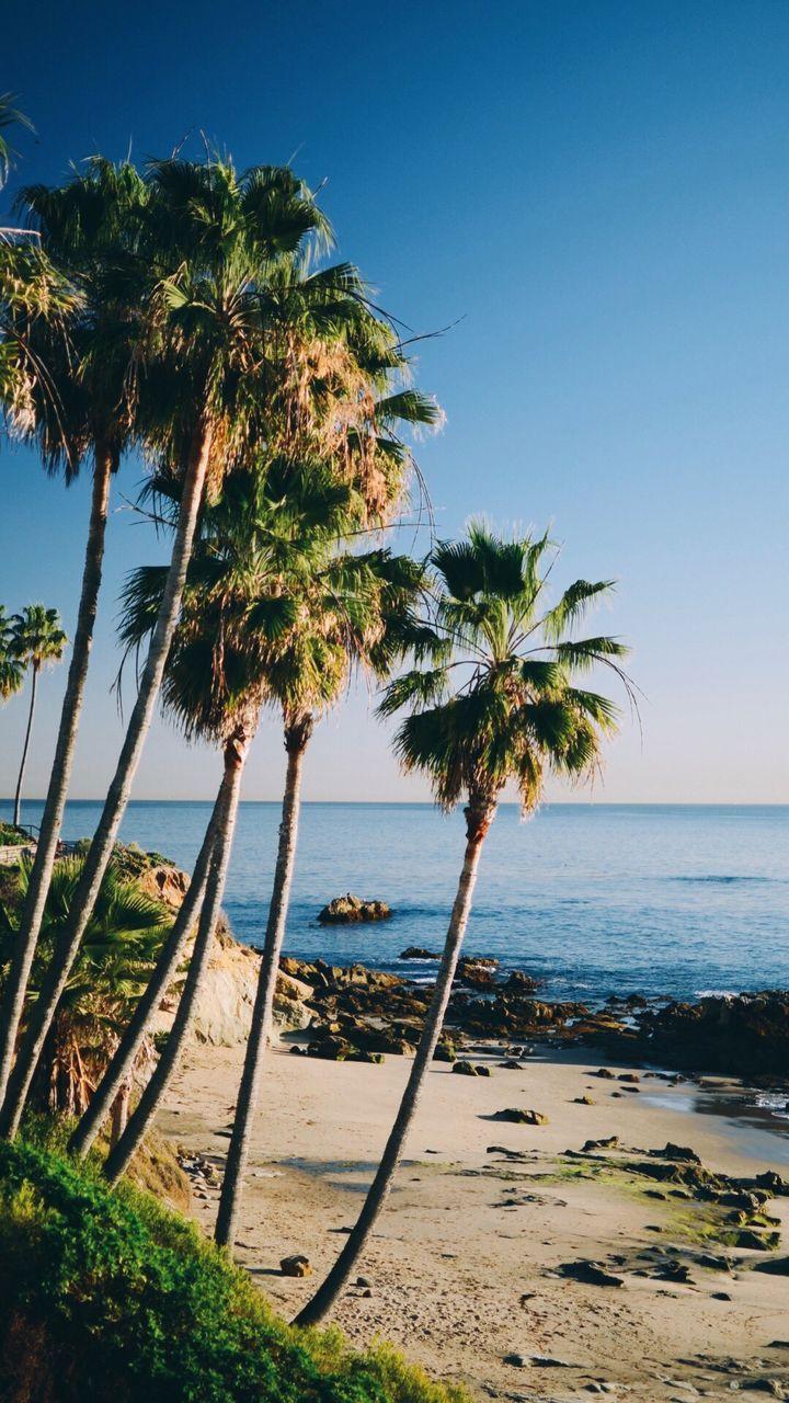 720x1280 California, iPhone, Love