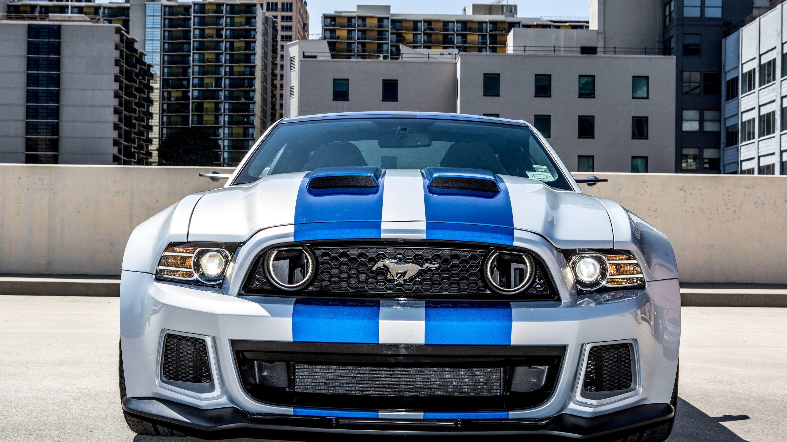 2560x1440 Wallpaper Ford Mustang GT, HD, 5K, Automotive / Cars