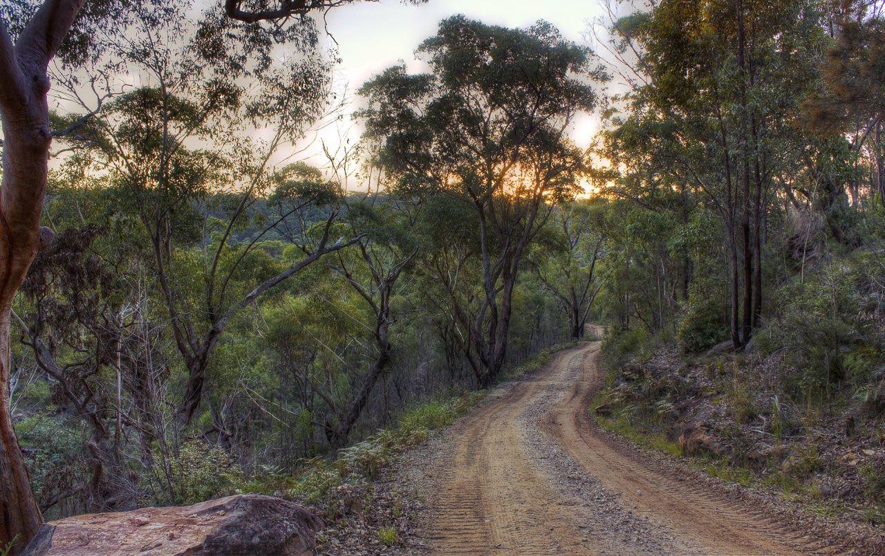 1280x804 Forest Hilly Way Sun Australia wallpaper. Forest Hilly Way Sun Australia