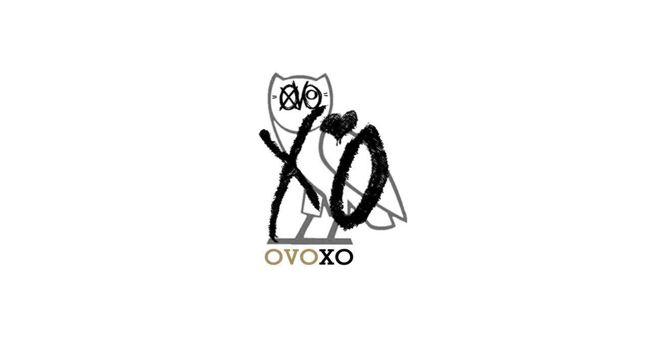 1280x720 Drake Owl Wallpaper Wallpaper