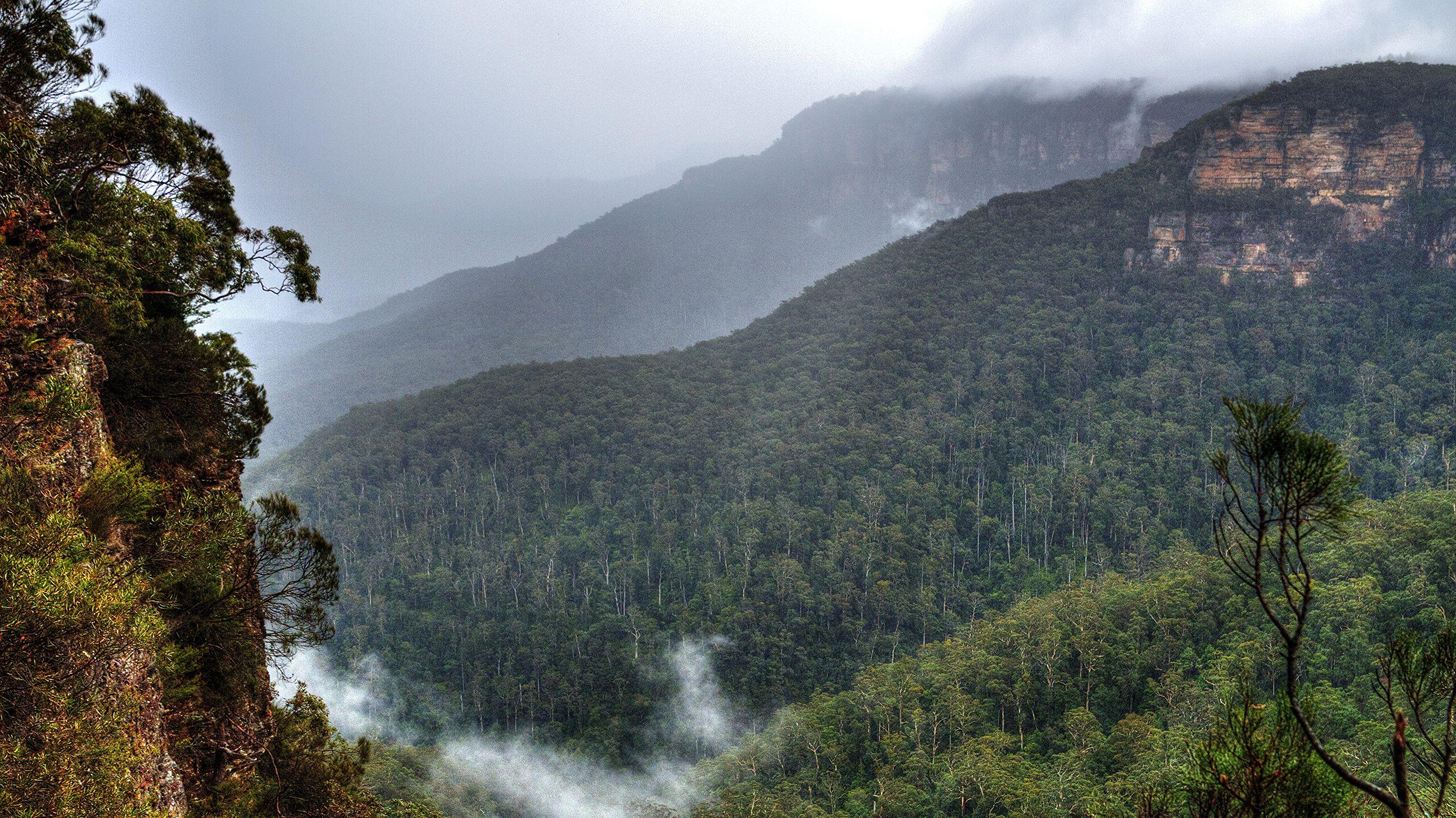 2560x1440 Picture Sydney Australia Blue Mountains Nature Forests 2560x1440