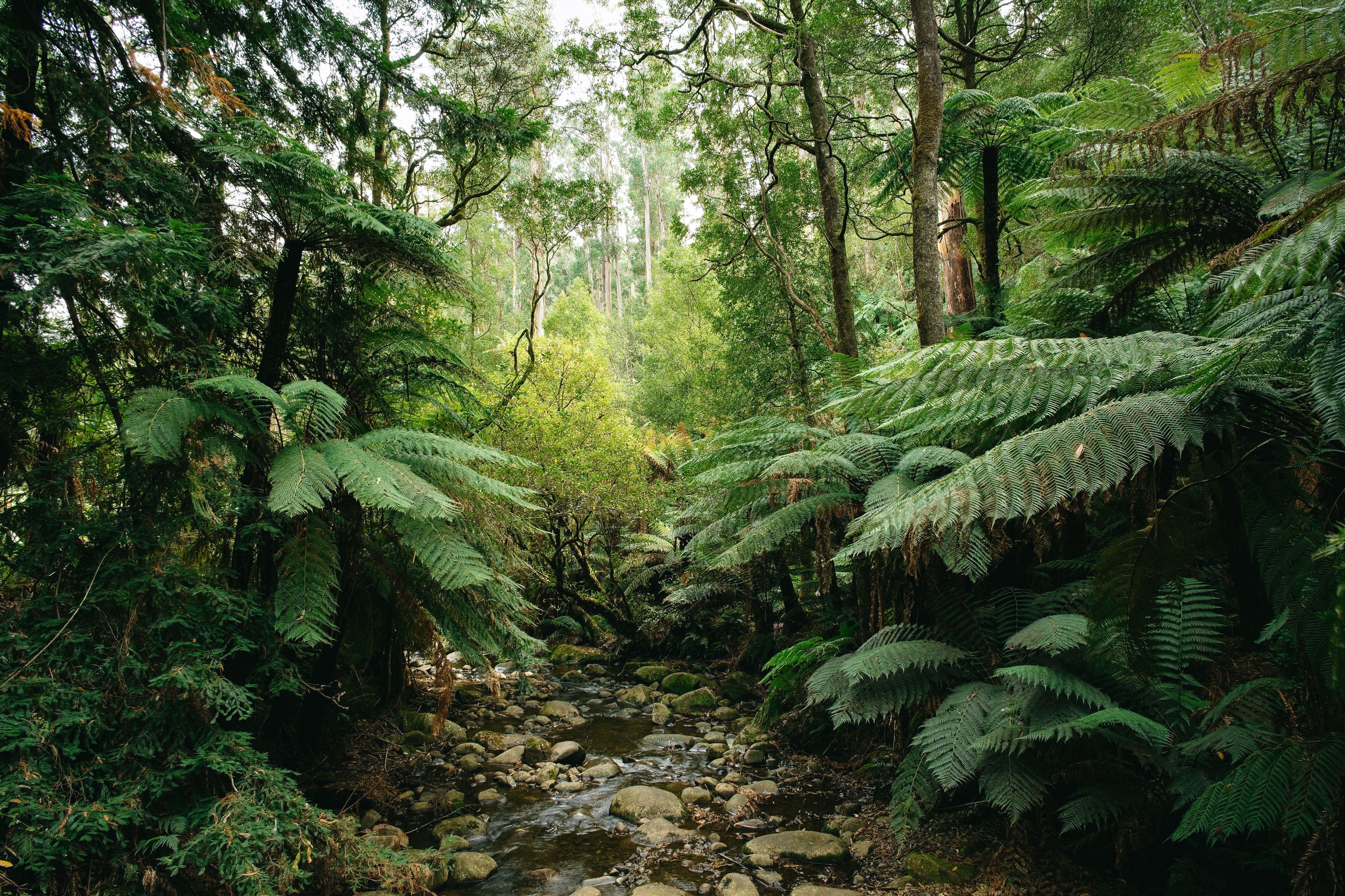 5616x3744 Wallpaper Australia Online