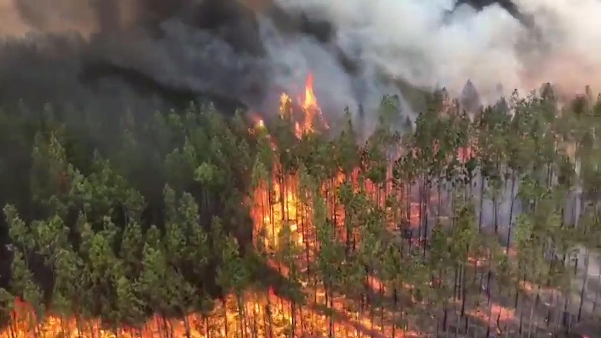 1920x1080 Caused The Fires In Australia