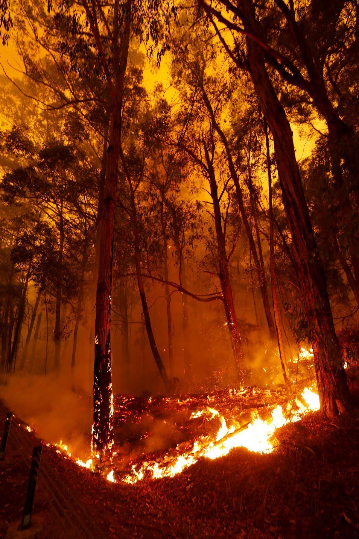 1200x1800 Australia bushfires: Photo from journalists on the ground