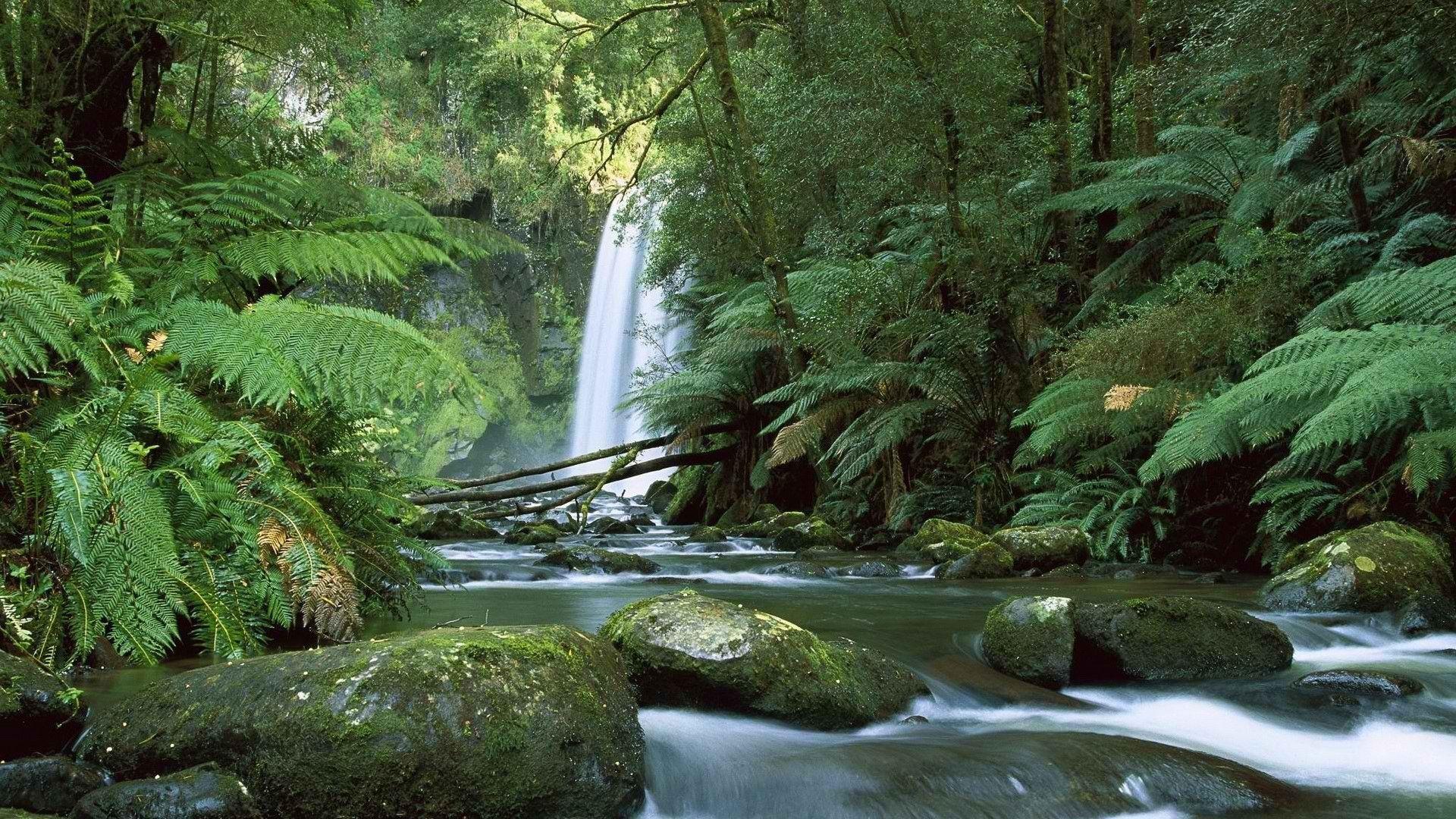1920x1080 Falls Australia rivers National Park Victoria Australia wallpaperx1080