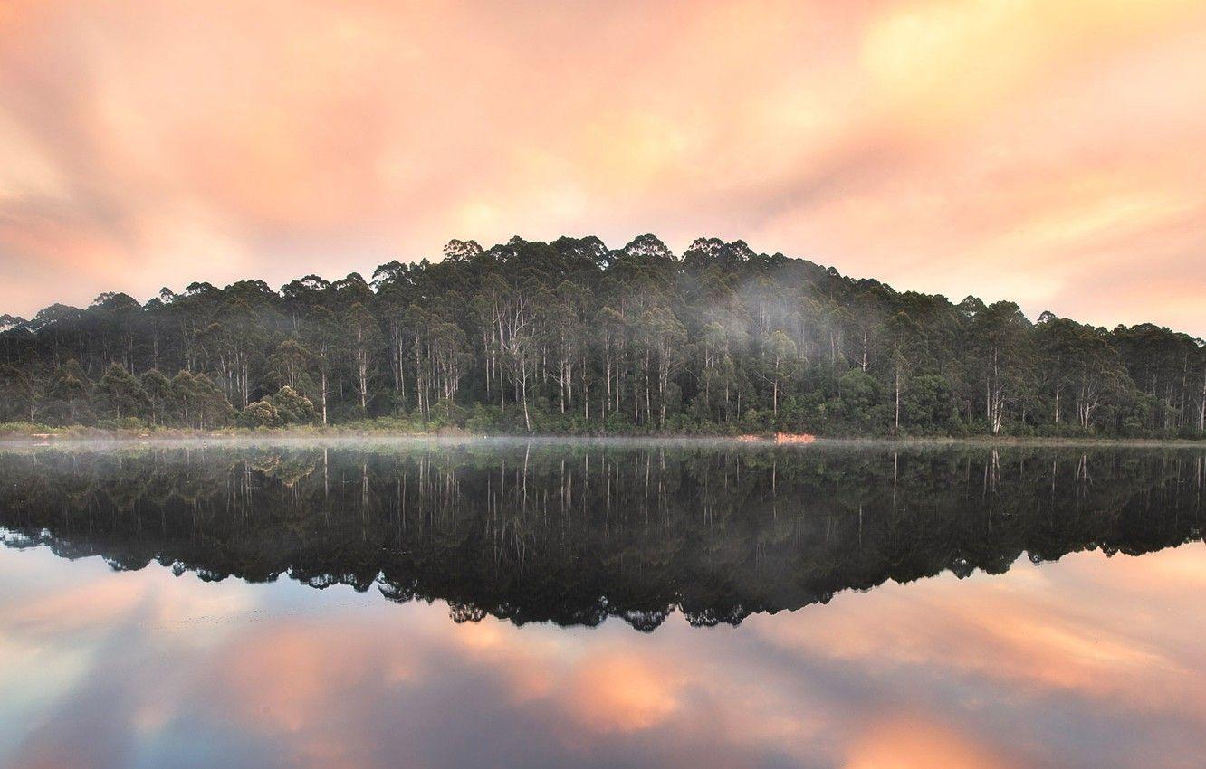 1332x850 Wallpaper forest, clouds, trees, fog, Australia, Beedelup Lake, Pemberton, Karri forest image for desktop, section природа
