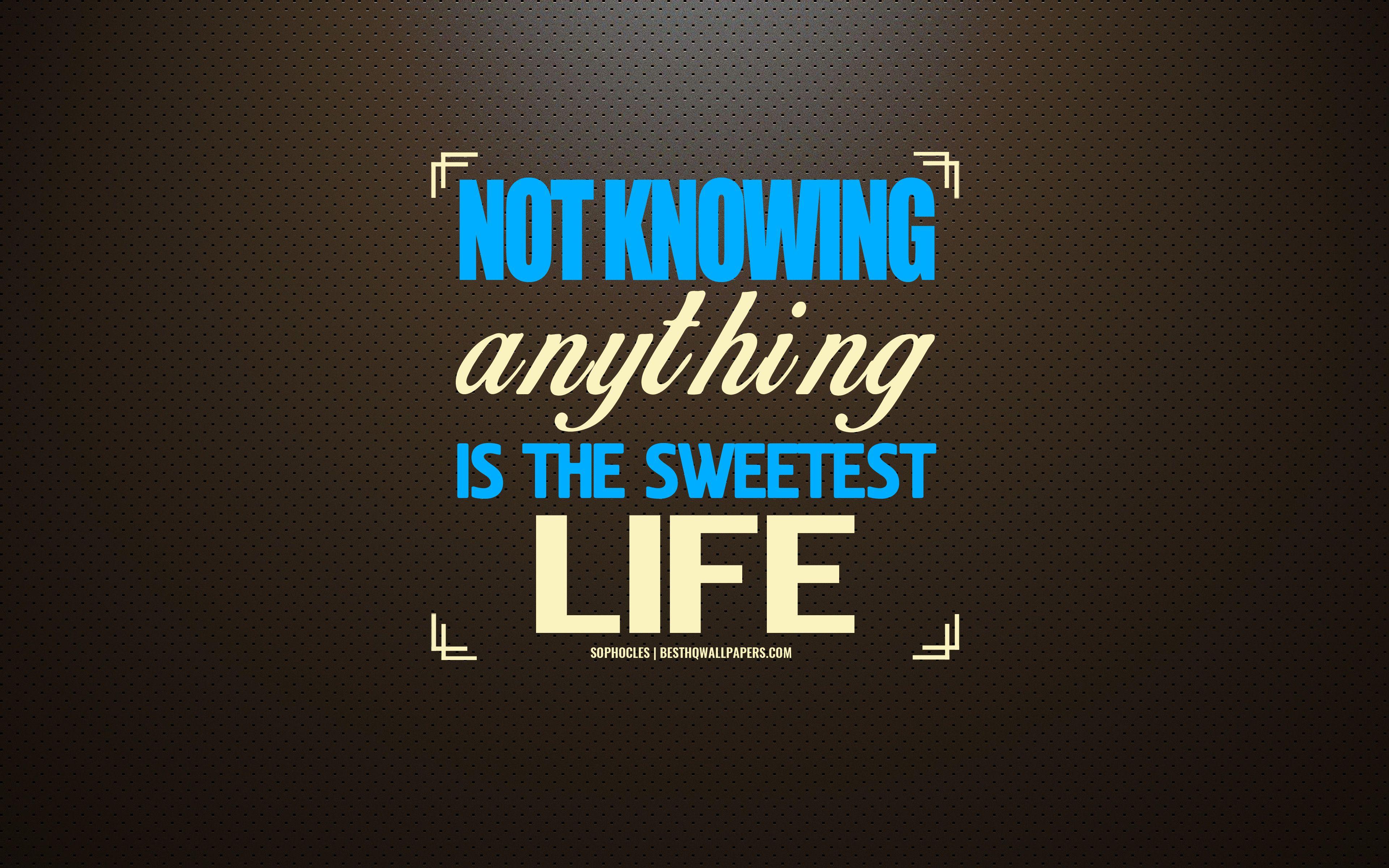 3840x2400 Download wallpaper Not knowing anything is the sweetest life, Sophocles, Greek philosophers quotes, creative art, inspiration, motivation, brown stylish background, art, Sophocles quotes for desktop with resolution 3840x2400. High Quality HD picture