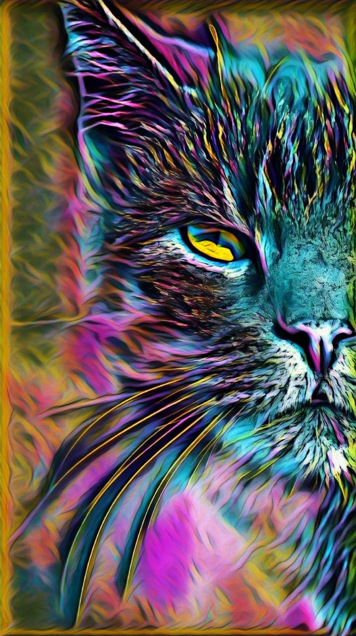 Abstract Cats Wallpapers Top Free Abstract Cats Backgrounds