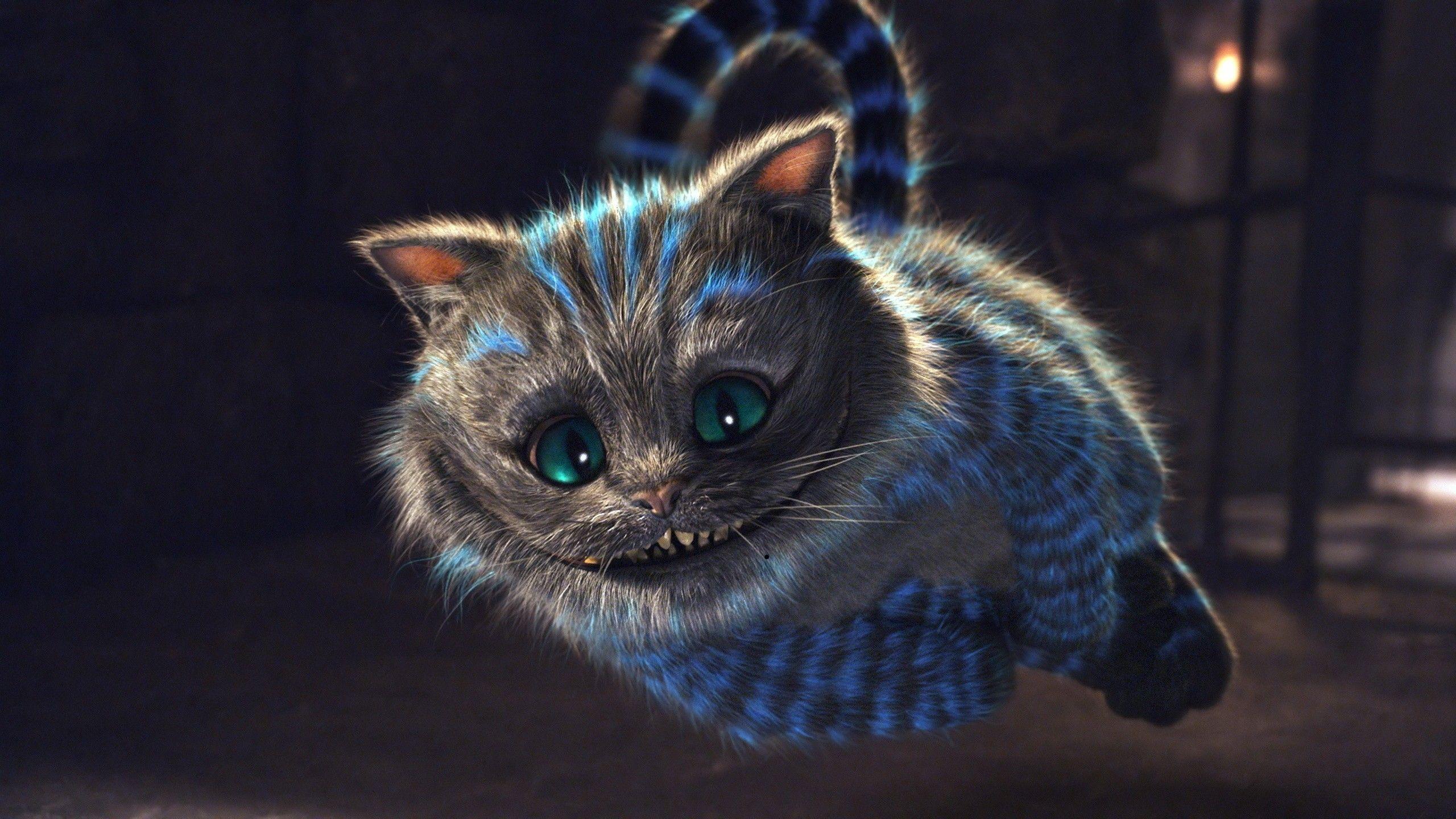 2560x1440 The Cheshire Cat Wallpaper